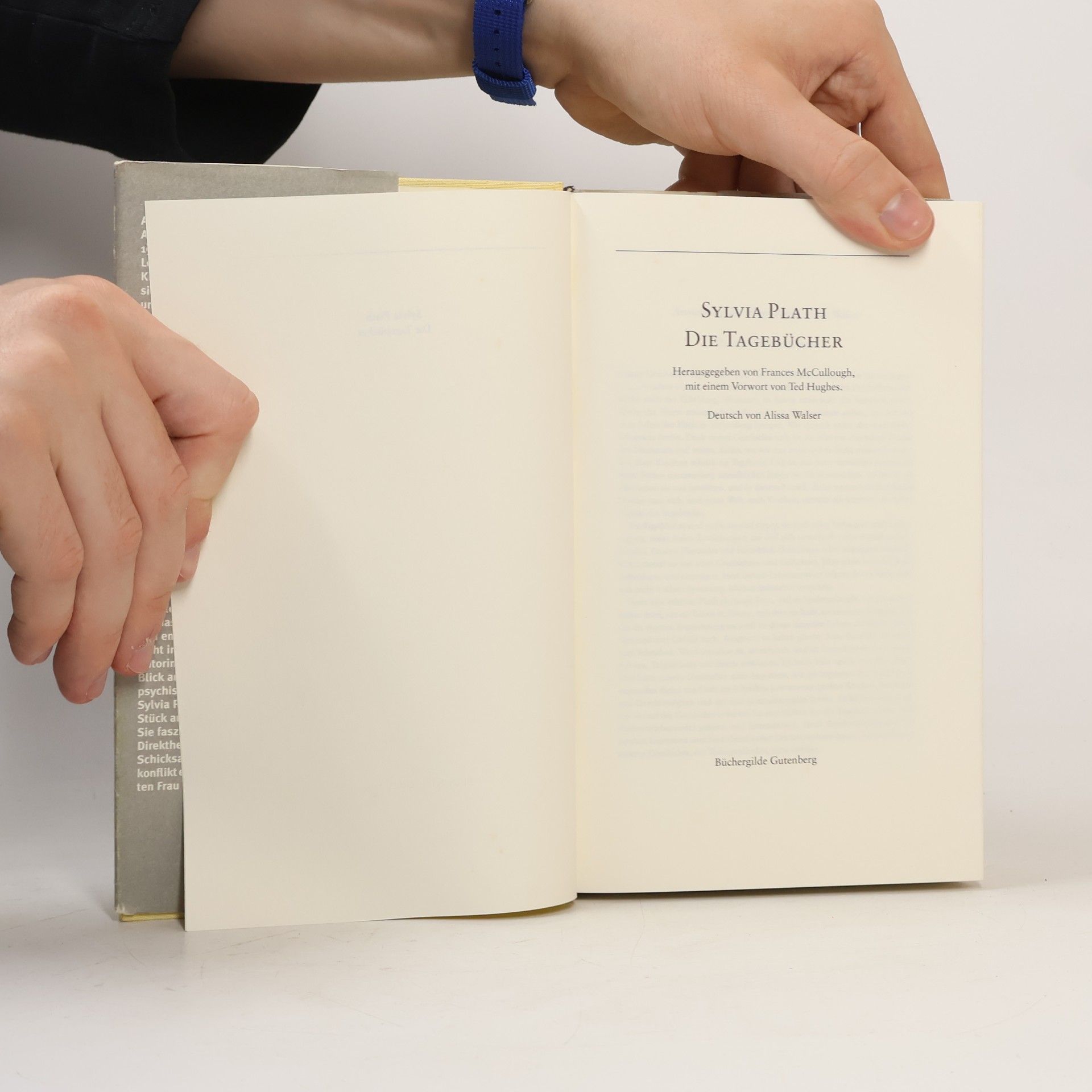 Sylvia Plath Die Tagebücher