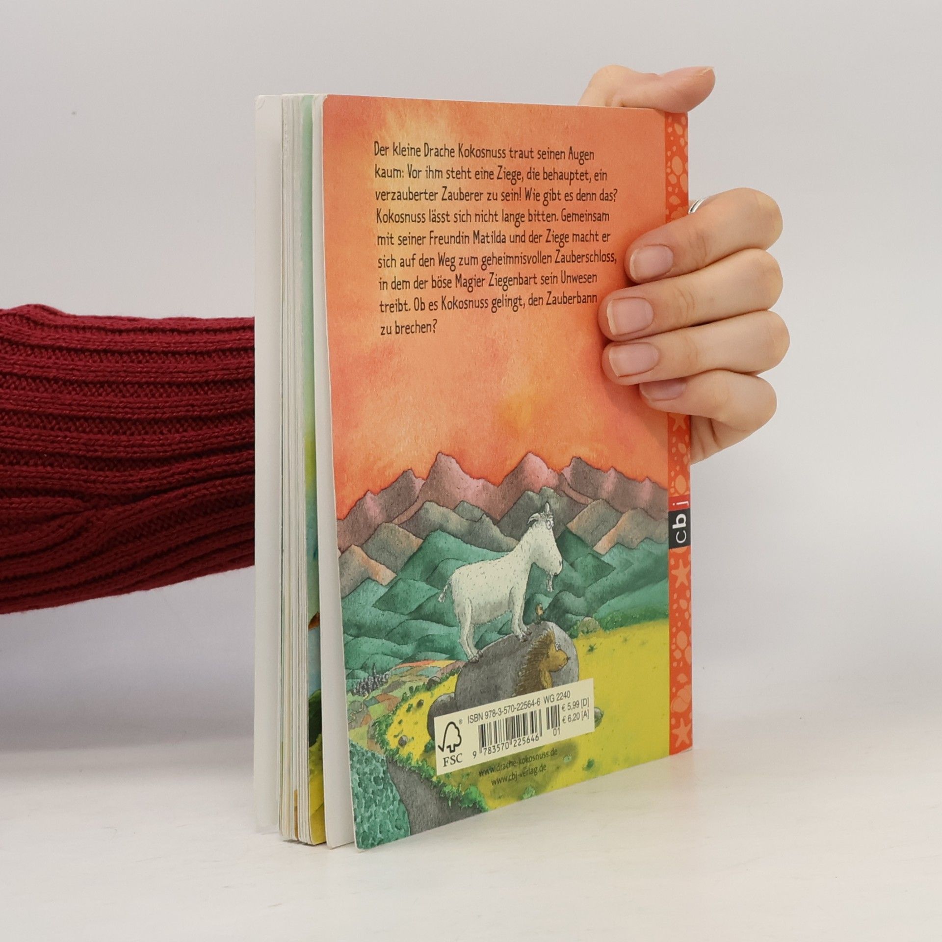 Ingo Siegner Der kleine Drache Kokosnuss und der große Zauberer