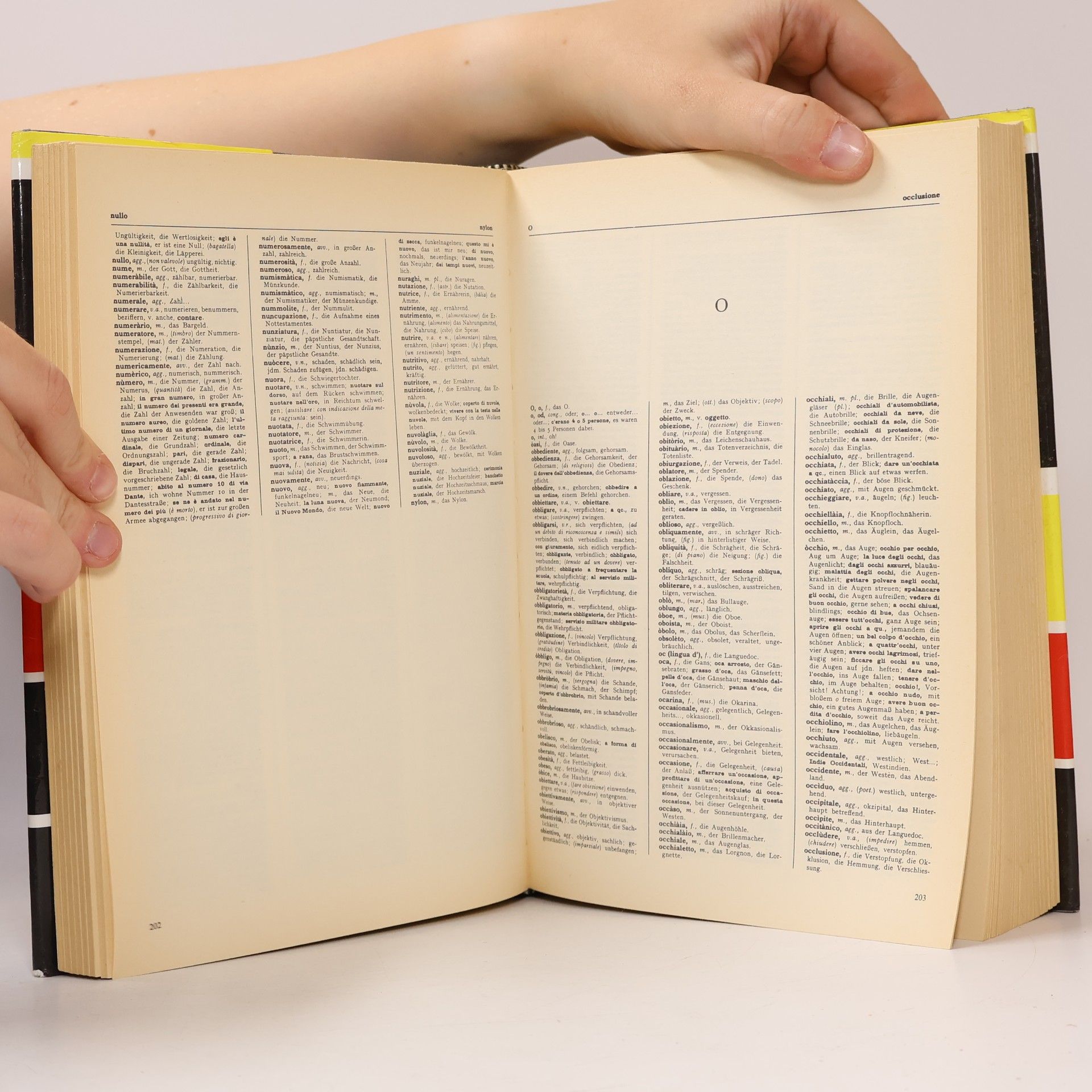 Sergio Alberti IL NUOVO DIZIONARIO