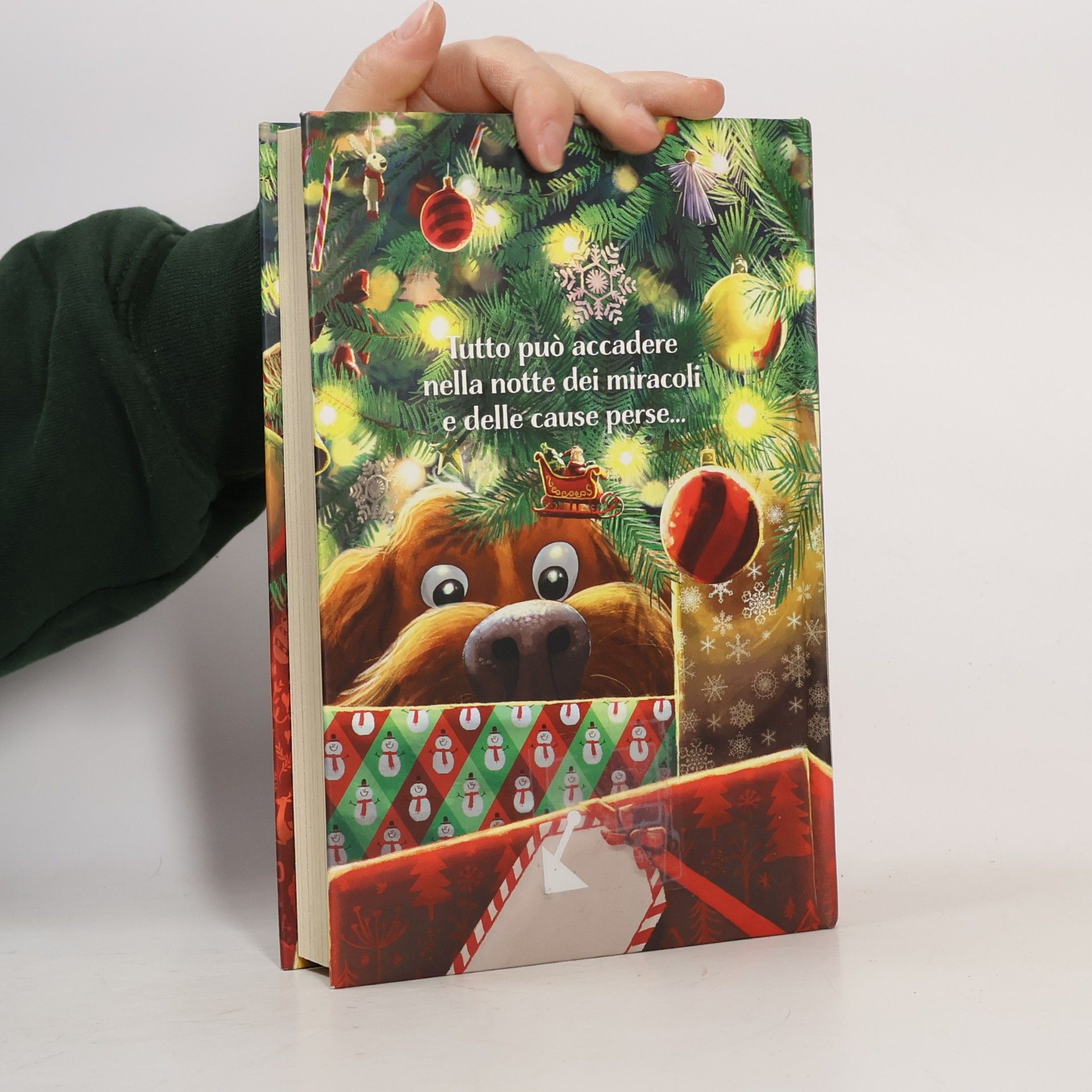 Joanne K. Rowling Il maialino di Natale