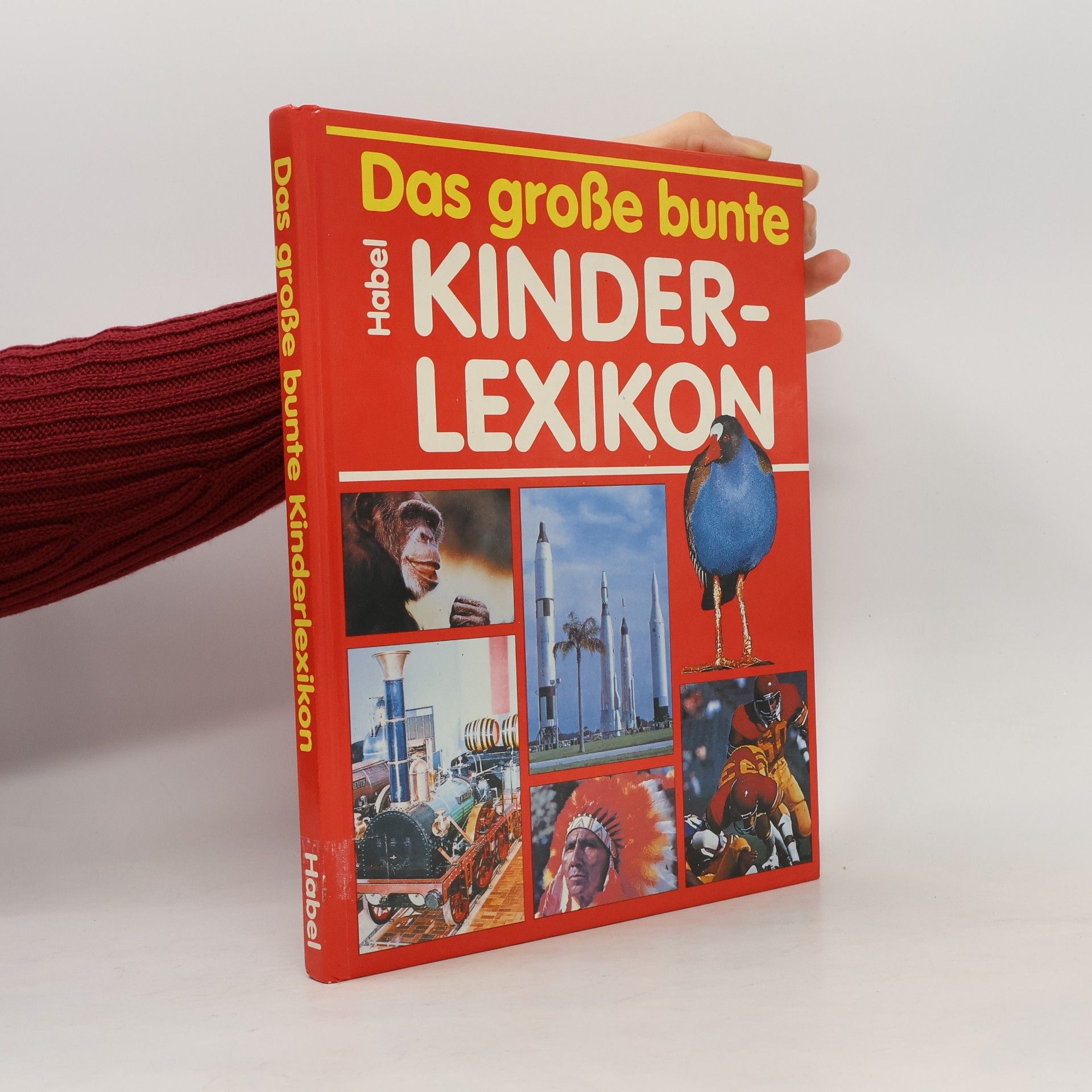 Das große bunte Kinderlexikon