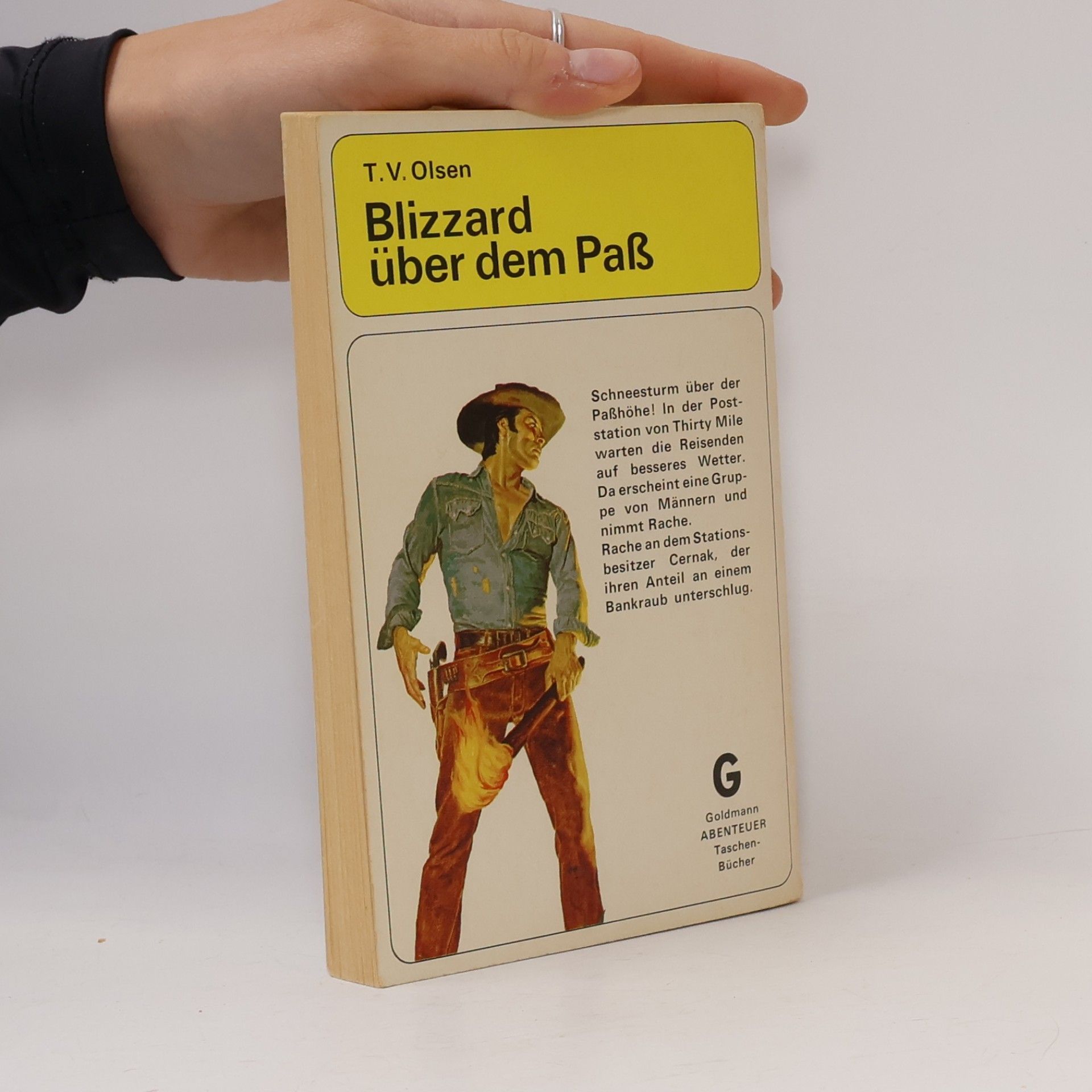 Theodore V. Olsen Blizzard über dem Paß