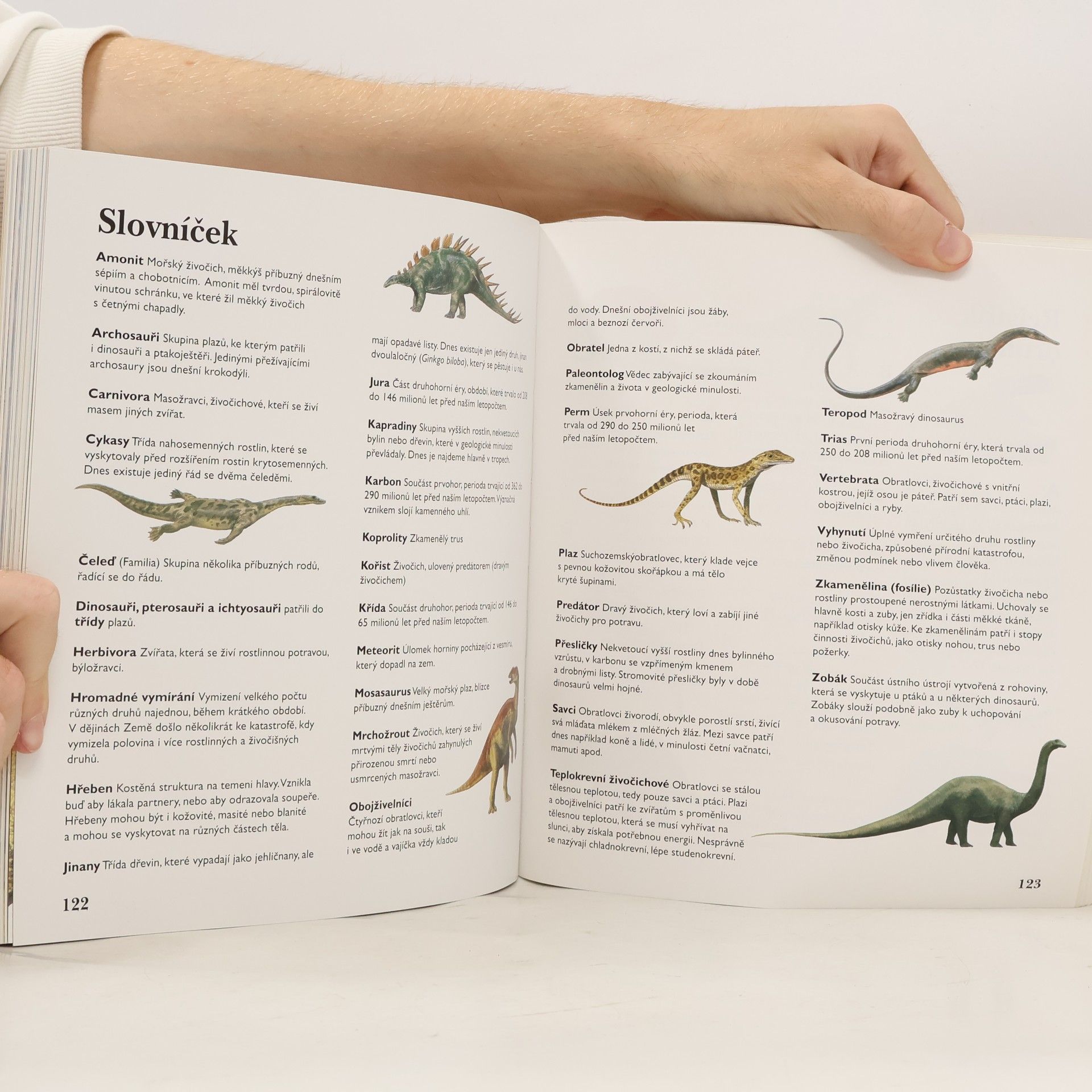 Jinny Johnson Dinosauři. Nalepovací encyklopedie