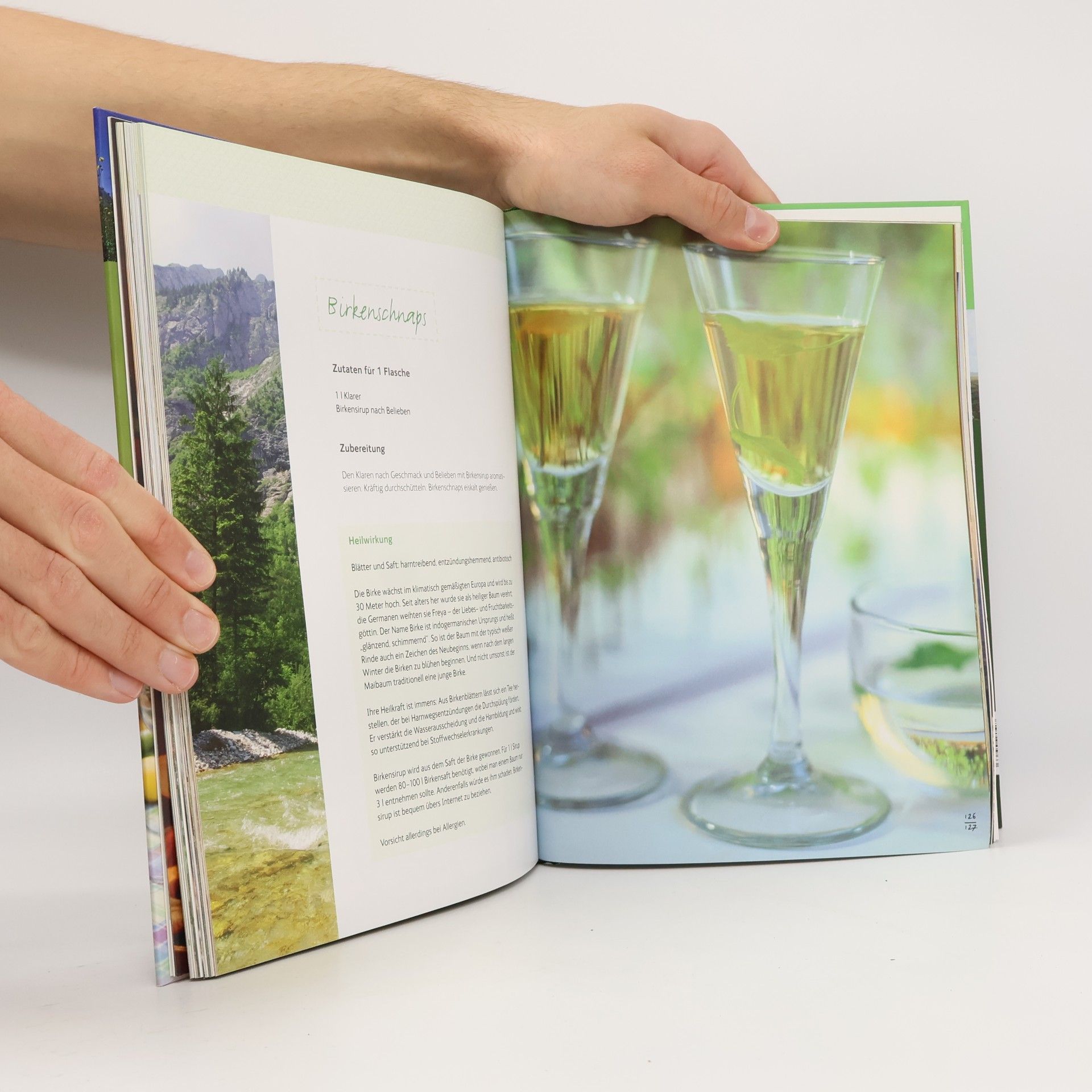 Kolektiv autorů Kräuterliköre und Heilschnäpse