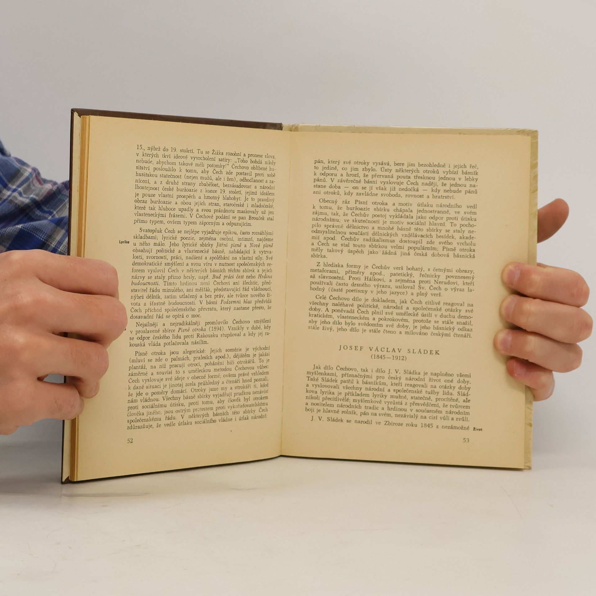 Kolektív autorov Rukověť dějin české a slovenské literaury