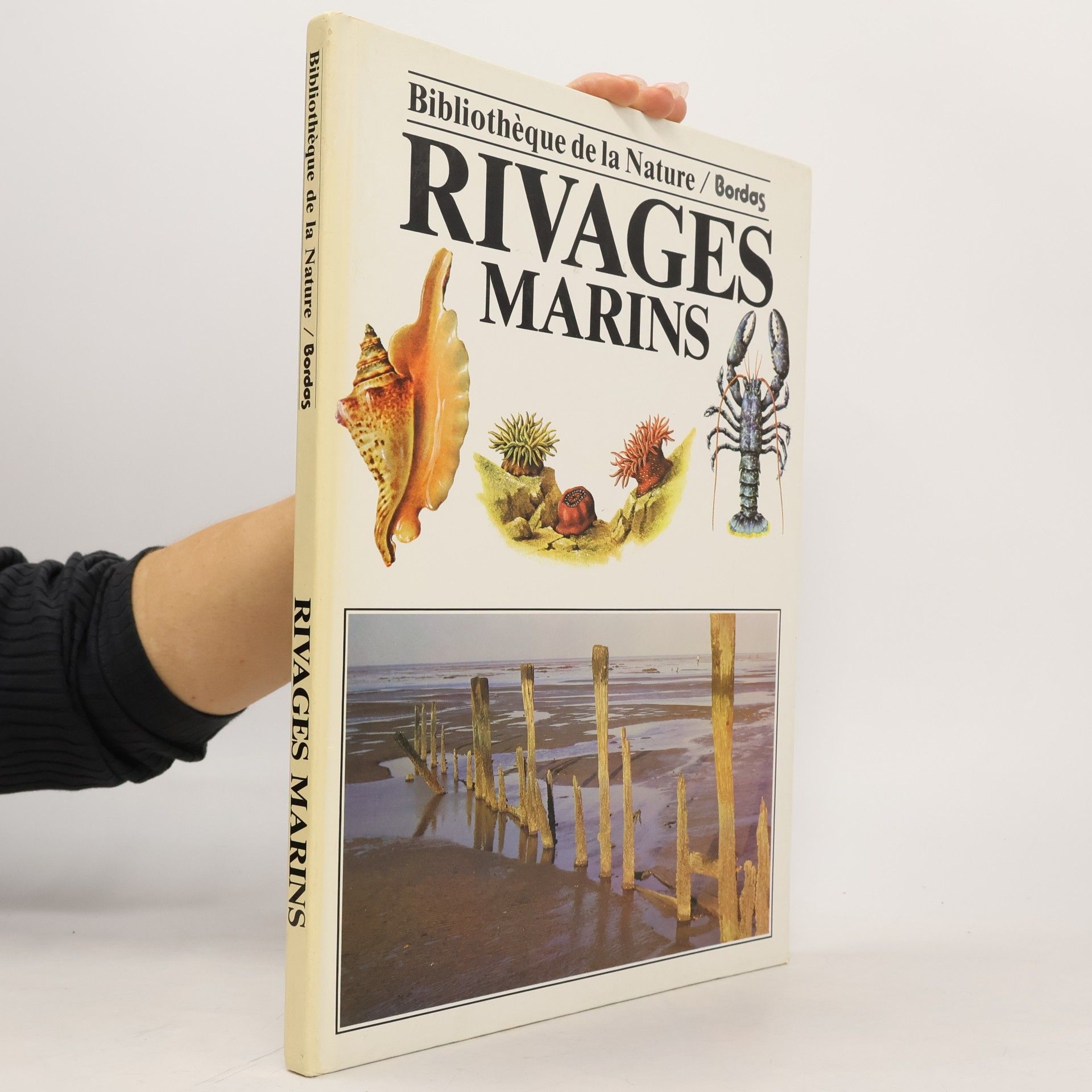 Andrew C. Campbell Bibliothèque de la Nature: Rivages marins