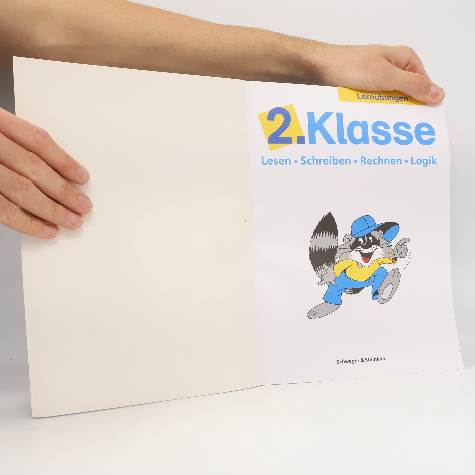 Kolektív autorov Lernübungen 2. Klasse