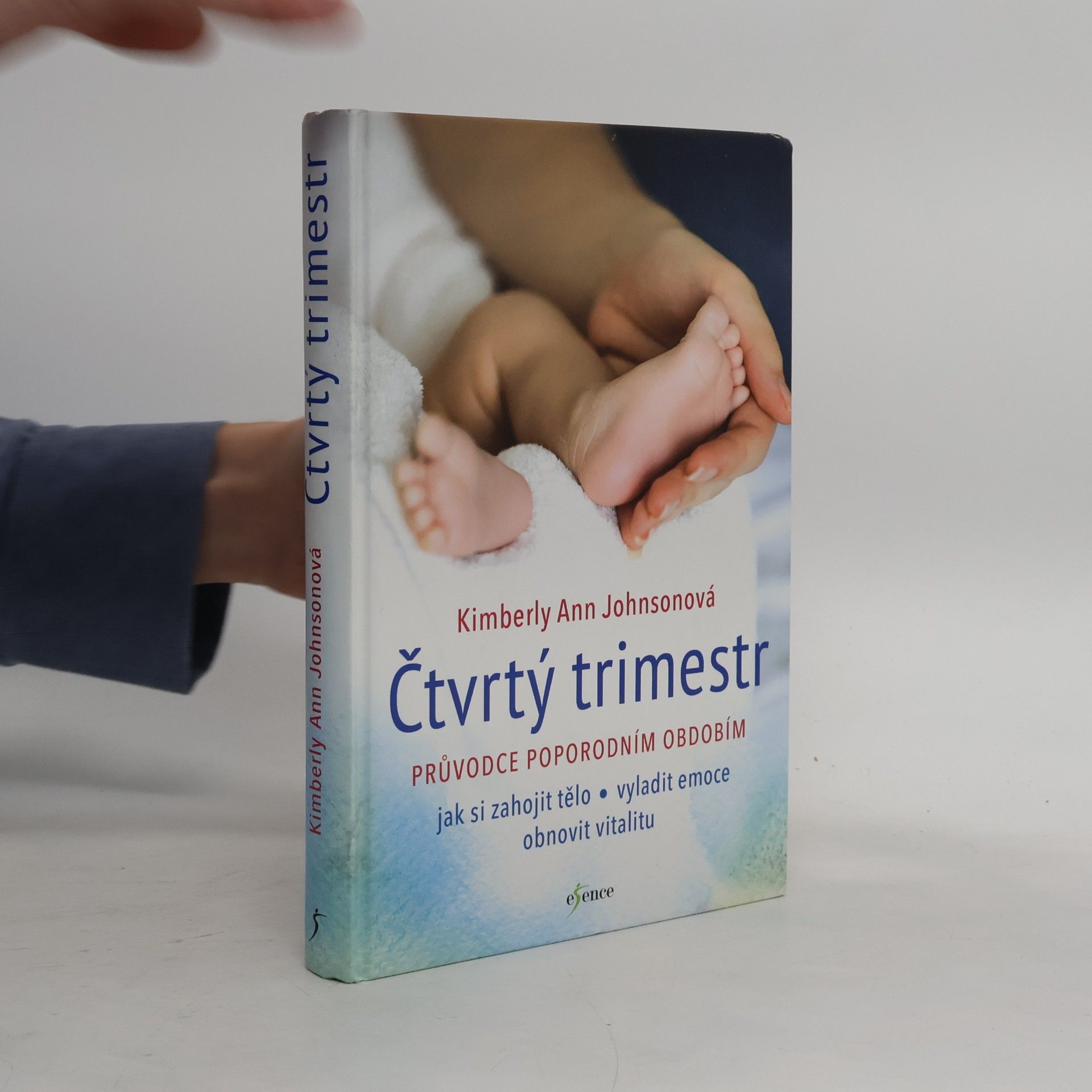 Čtvrtý trimestr: Průvodce poporodním obdobím