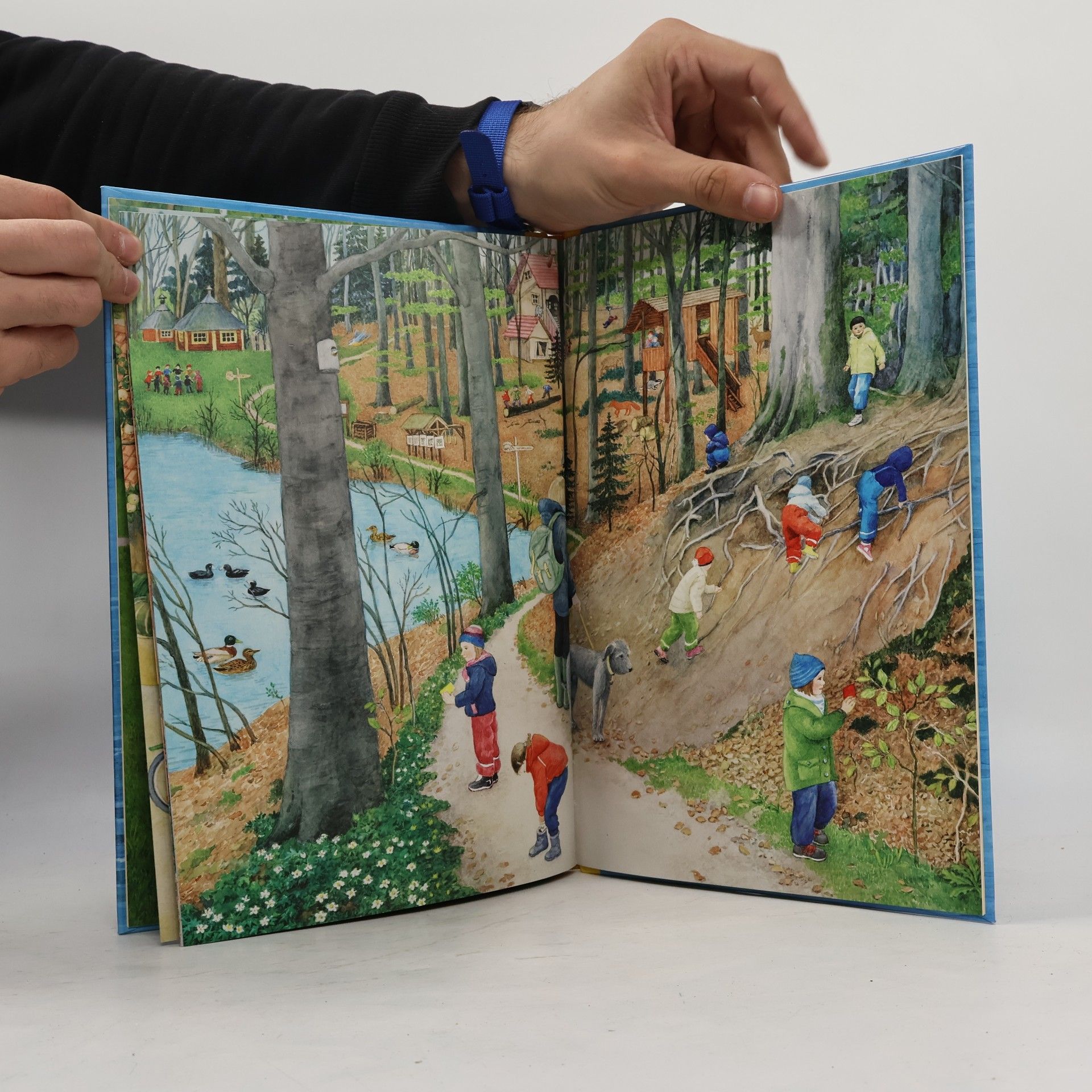 Dorothea Desmarowitz Stormarn Bilderbuch