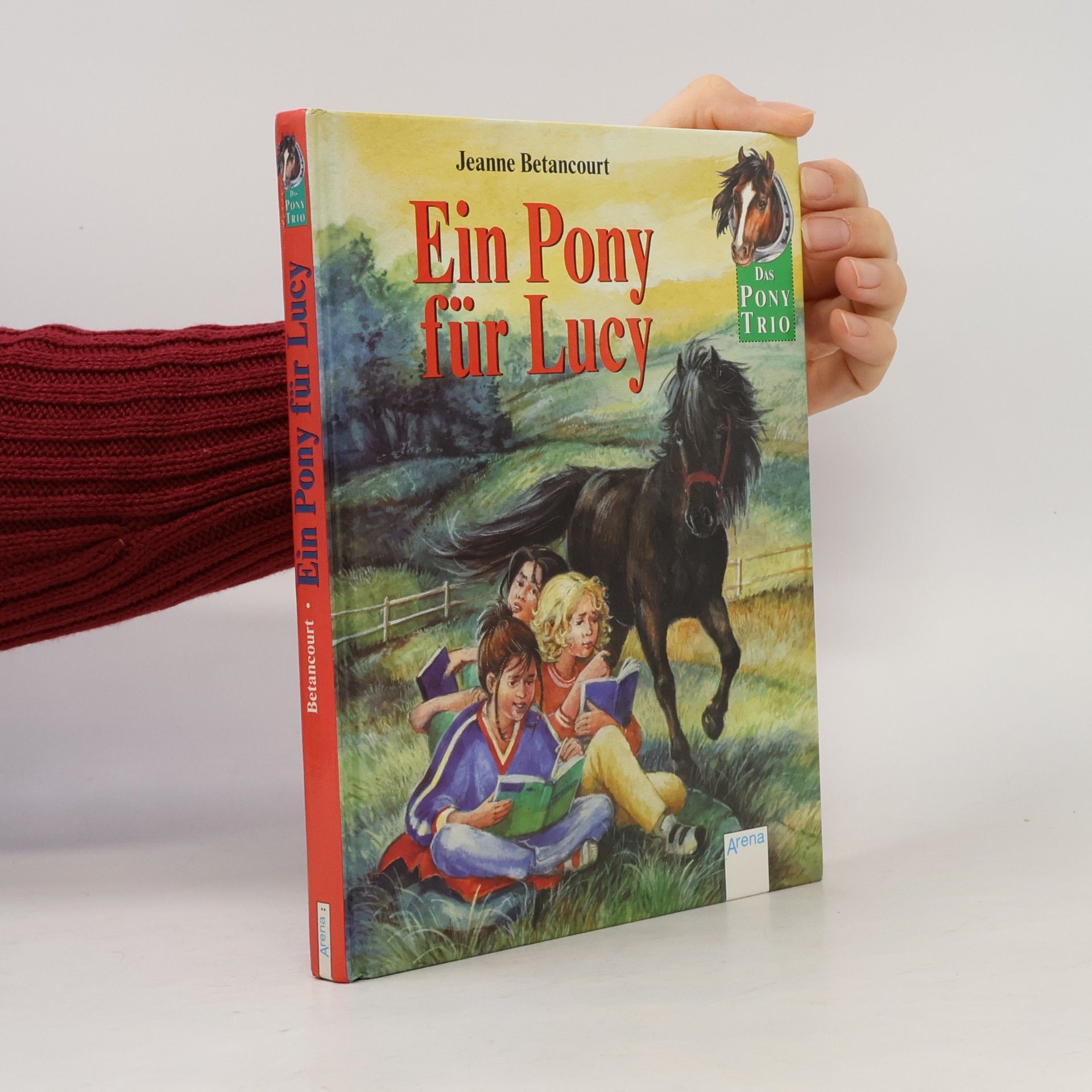 Das Pony-Trio