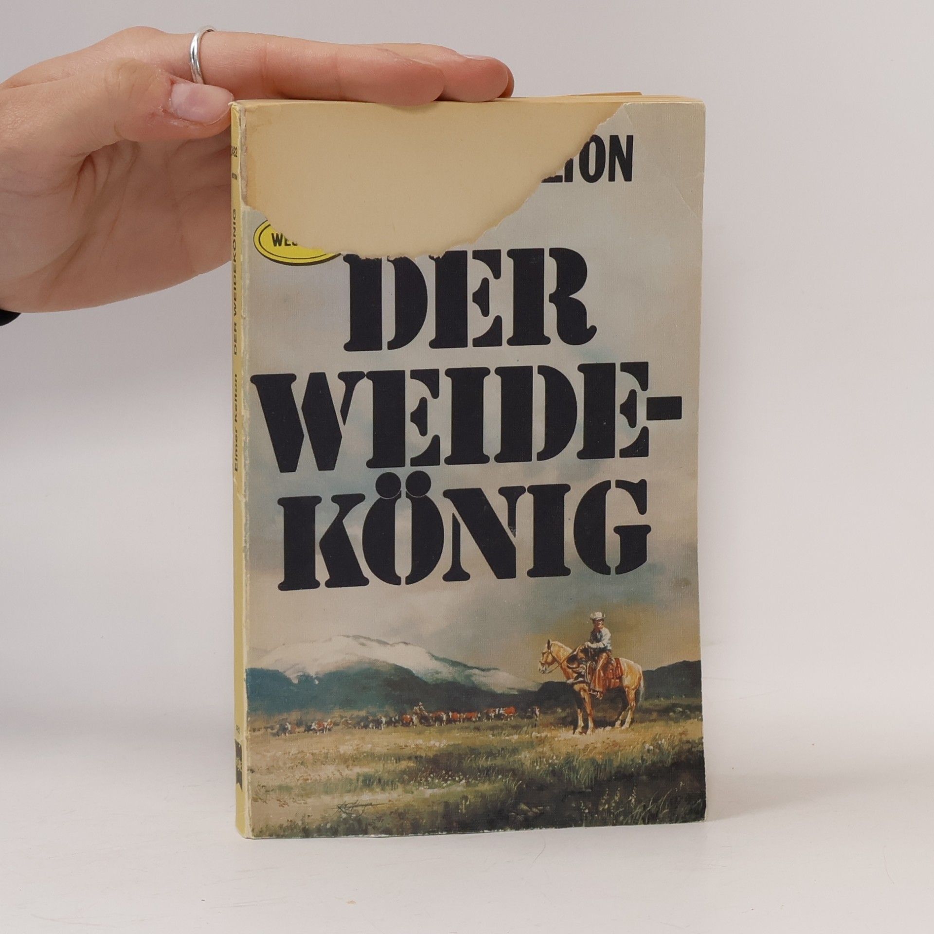 Elmer Kelton Der Weidekönig