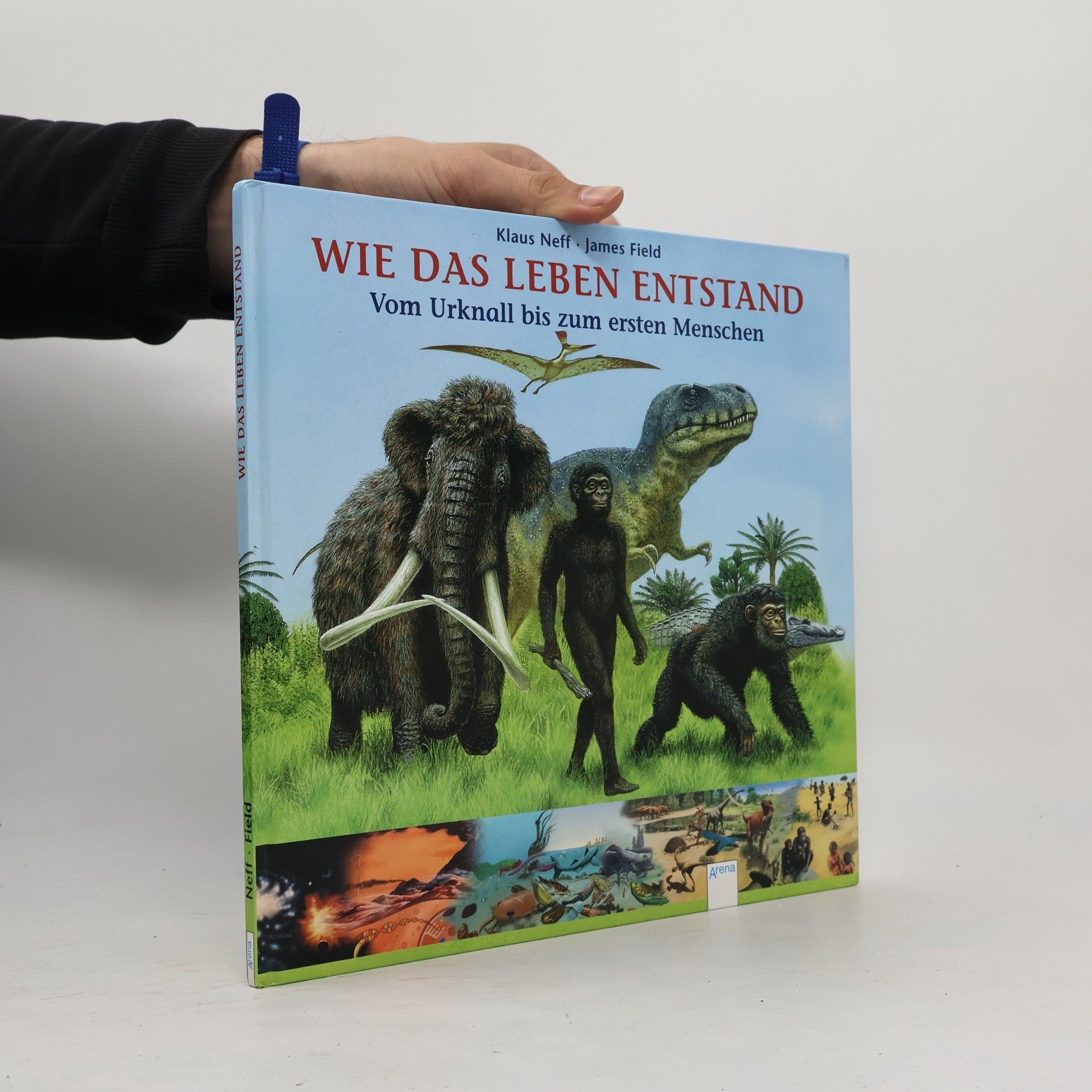 Wie das Leben entstand