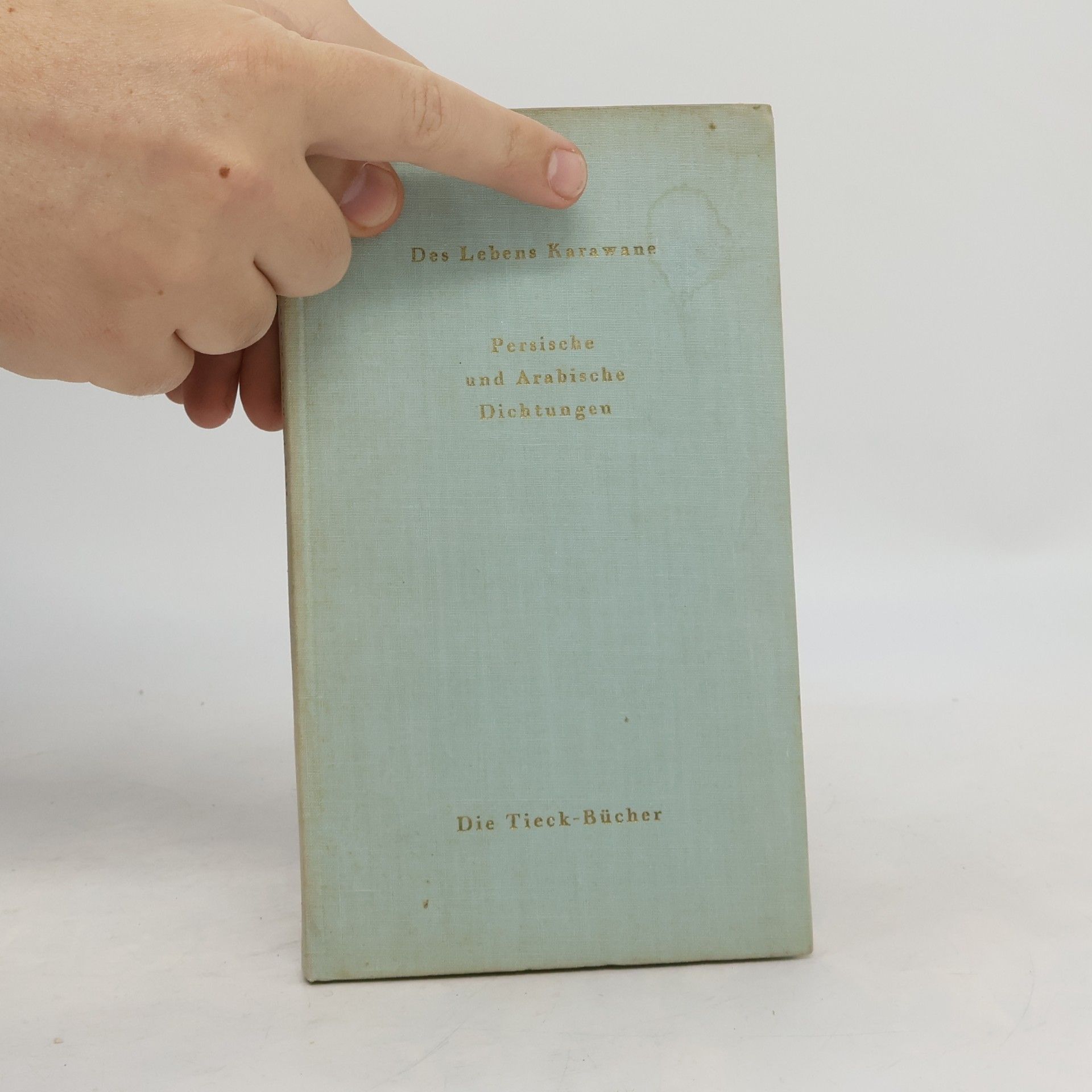 Heinrich Tieck Des Lebens Karawane. Persische und arabische Dichtungen
