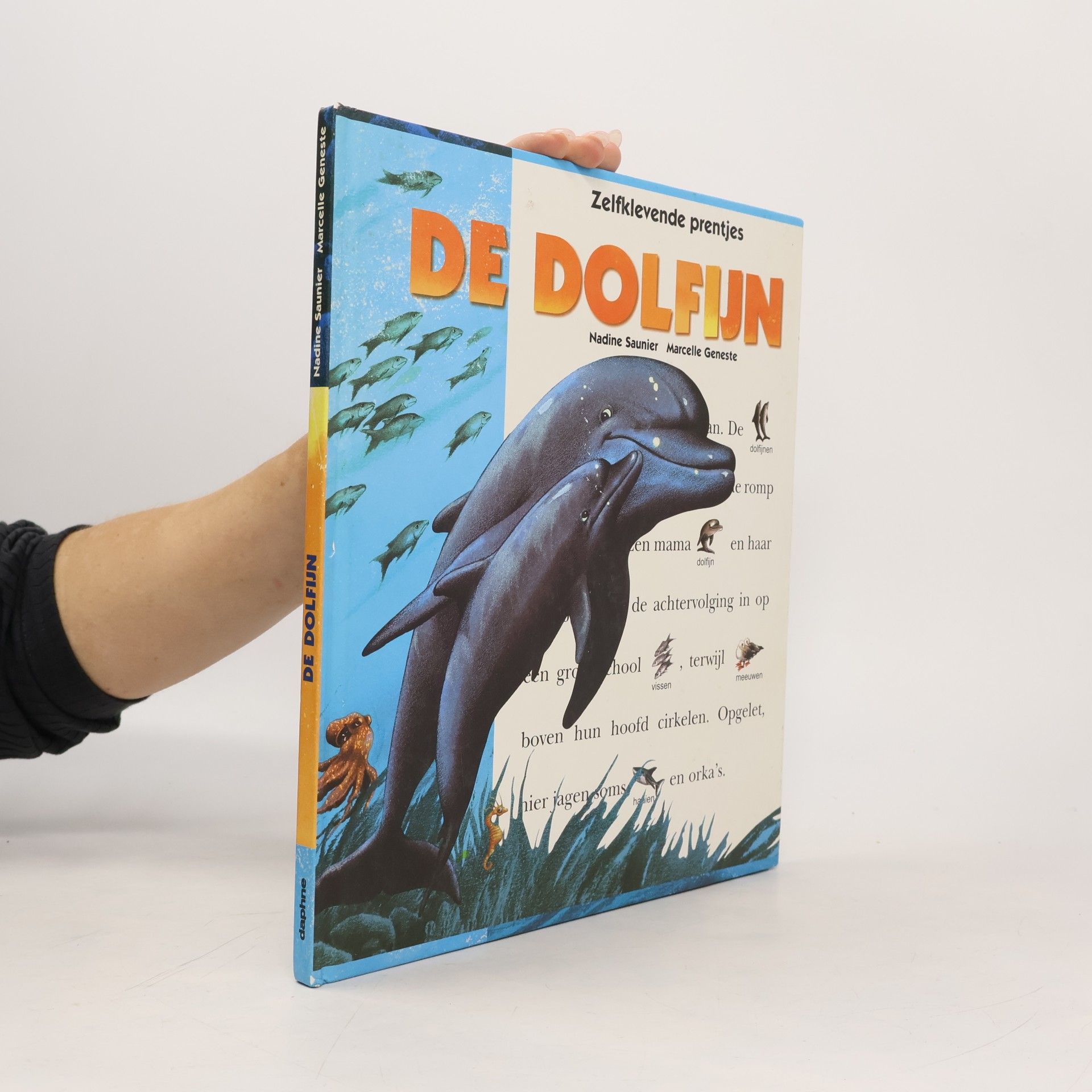 De Dolfijn