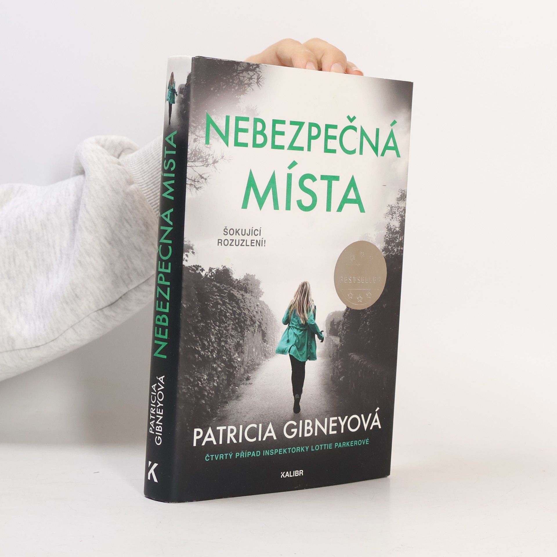 Patricia Gibney Nebezpečná místa