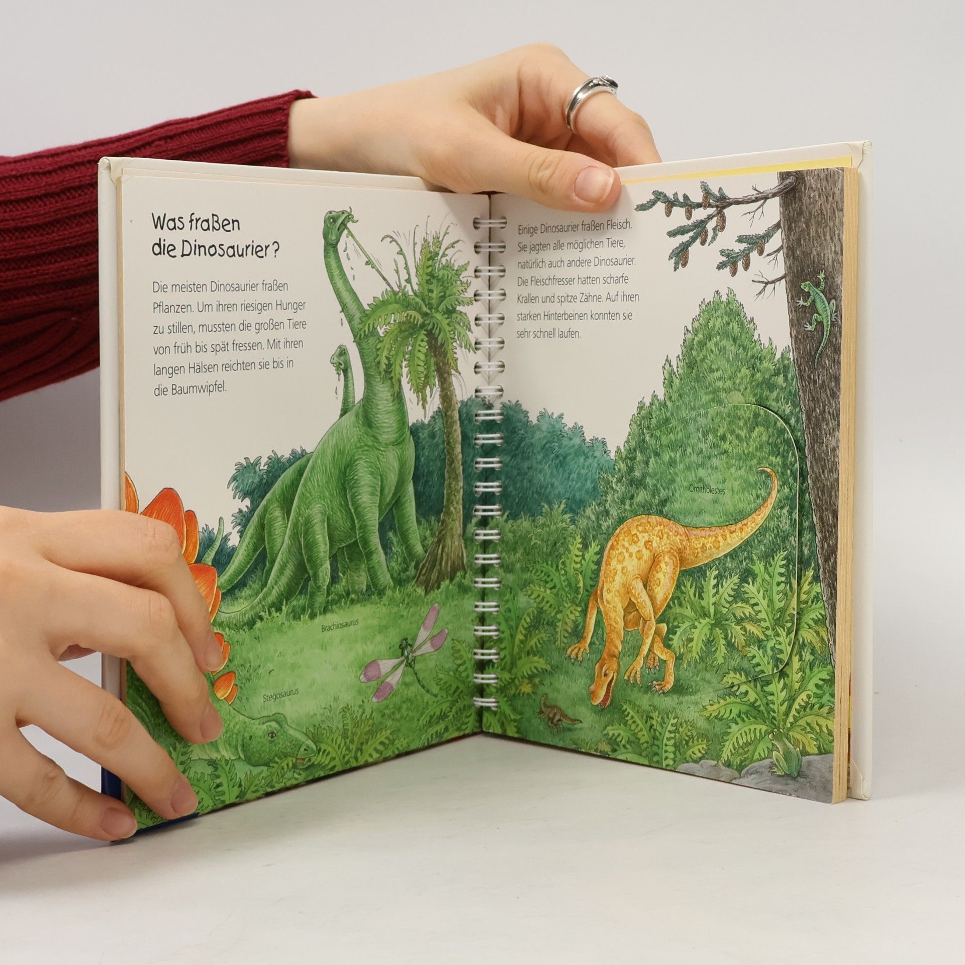 Angela Weinhold Die Dinosaurier
