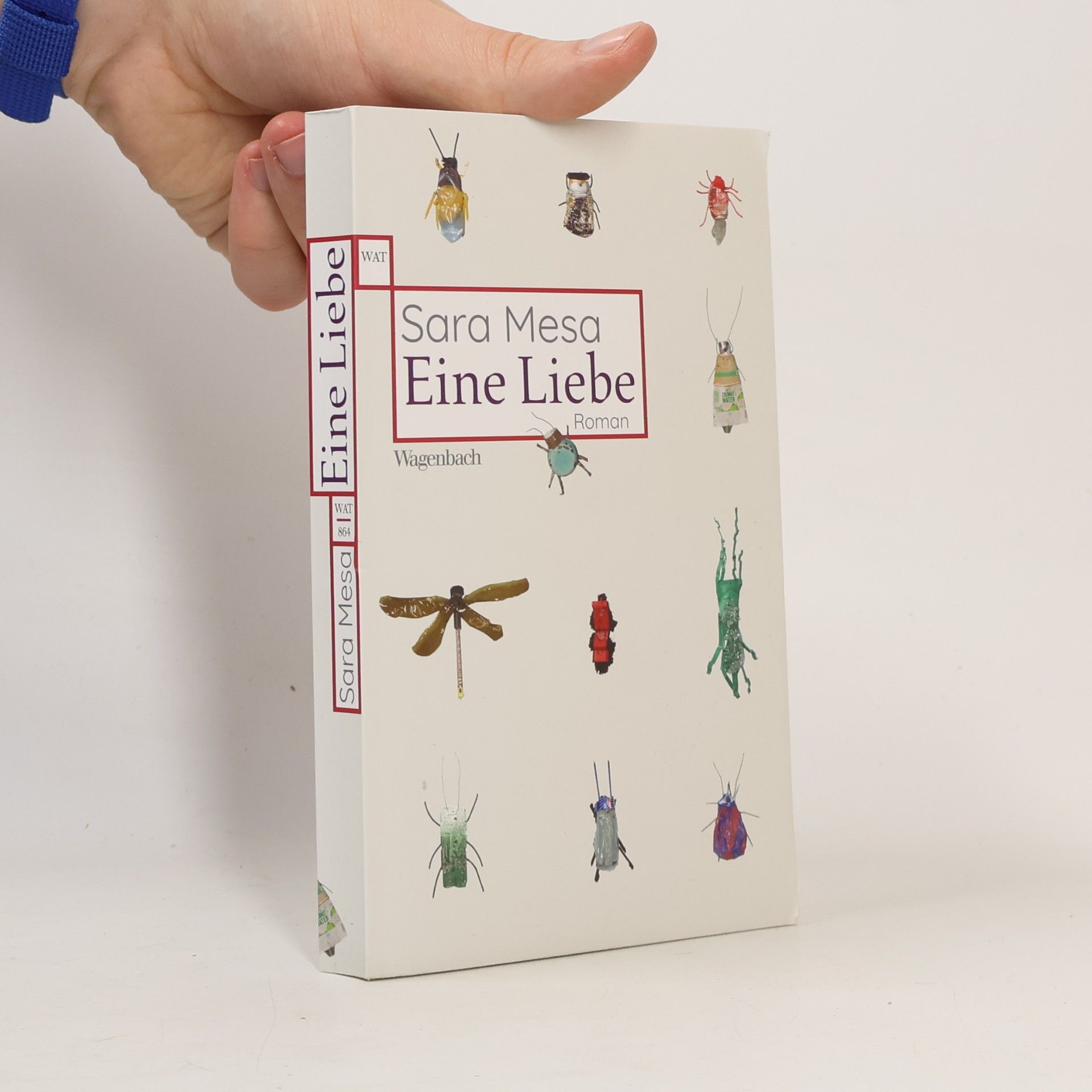 Sara Mesa Eine Liebe