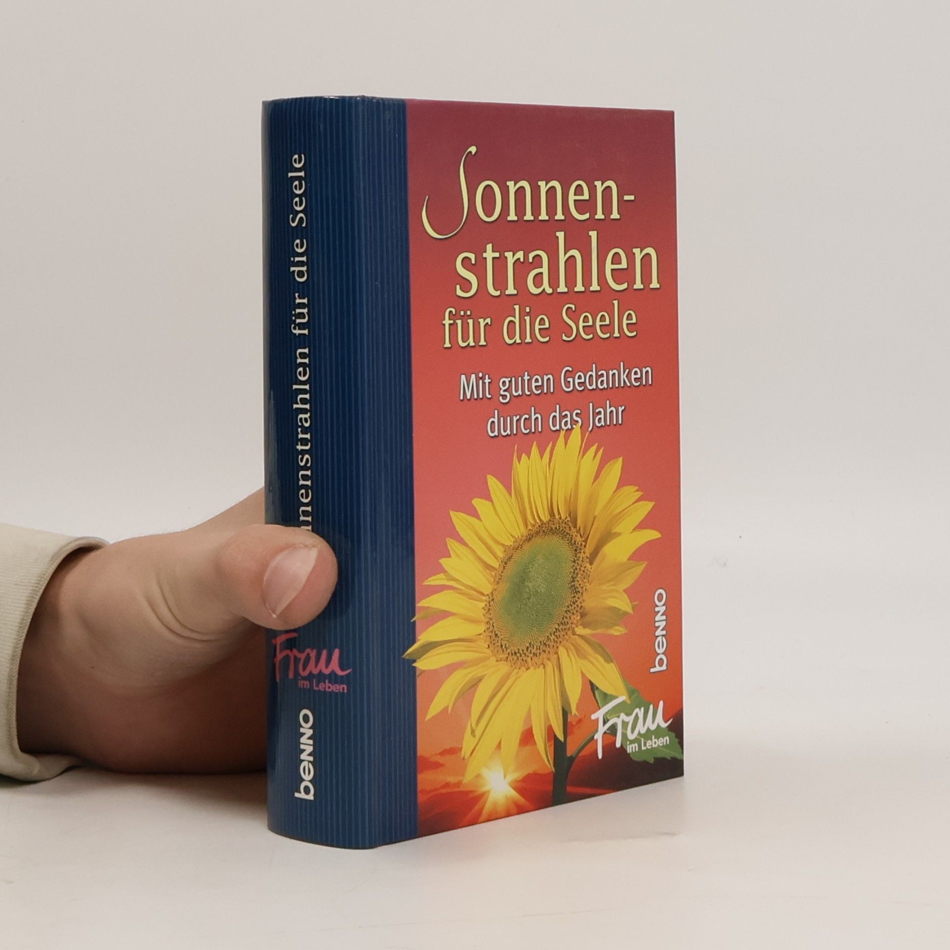 Volker Bauch Sonnenstrahlen für die Seele
