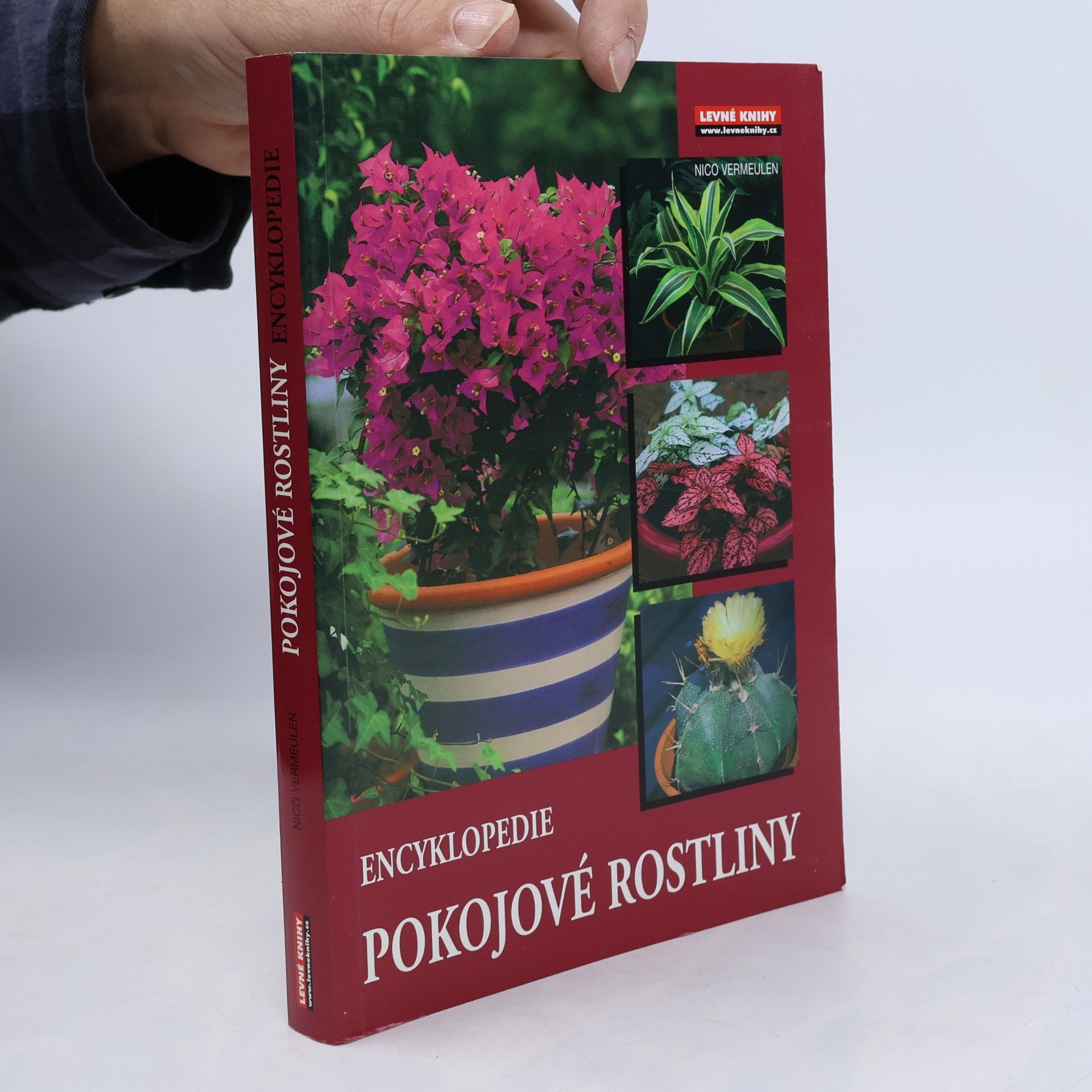 Pokojové rostliny: Encyklopedie