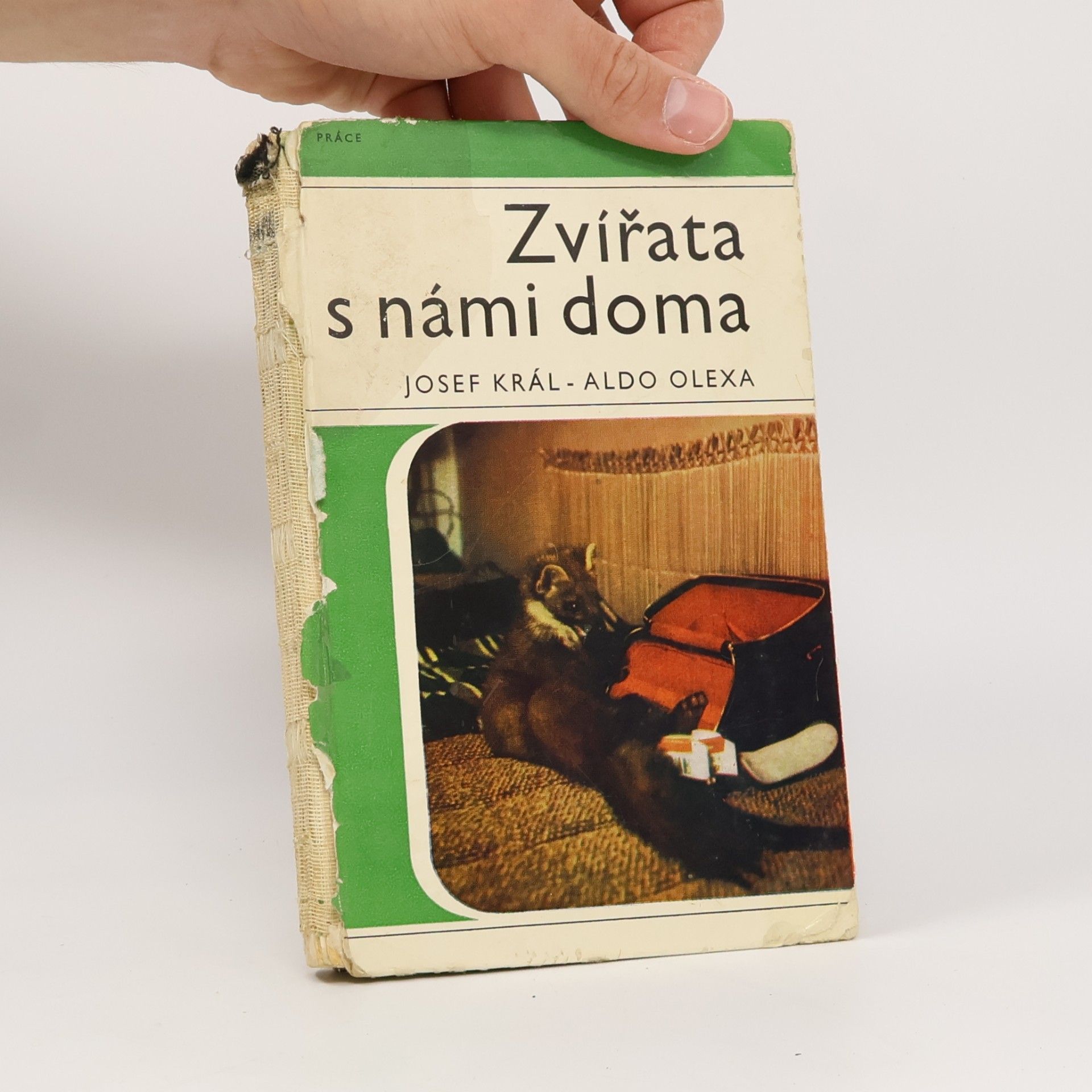 Zvířata s námi doma