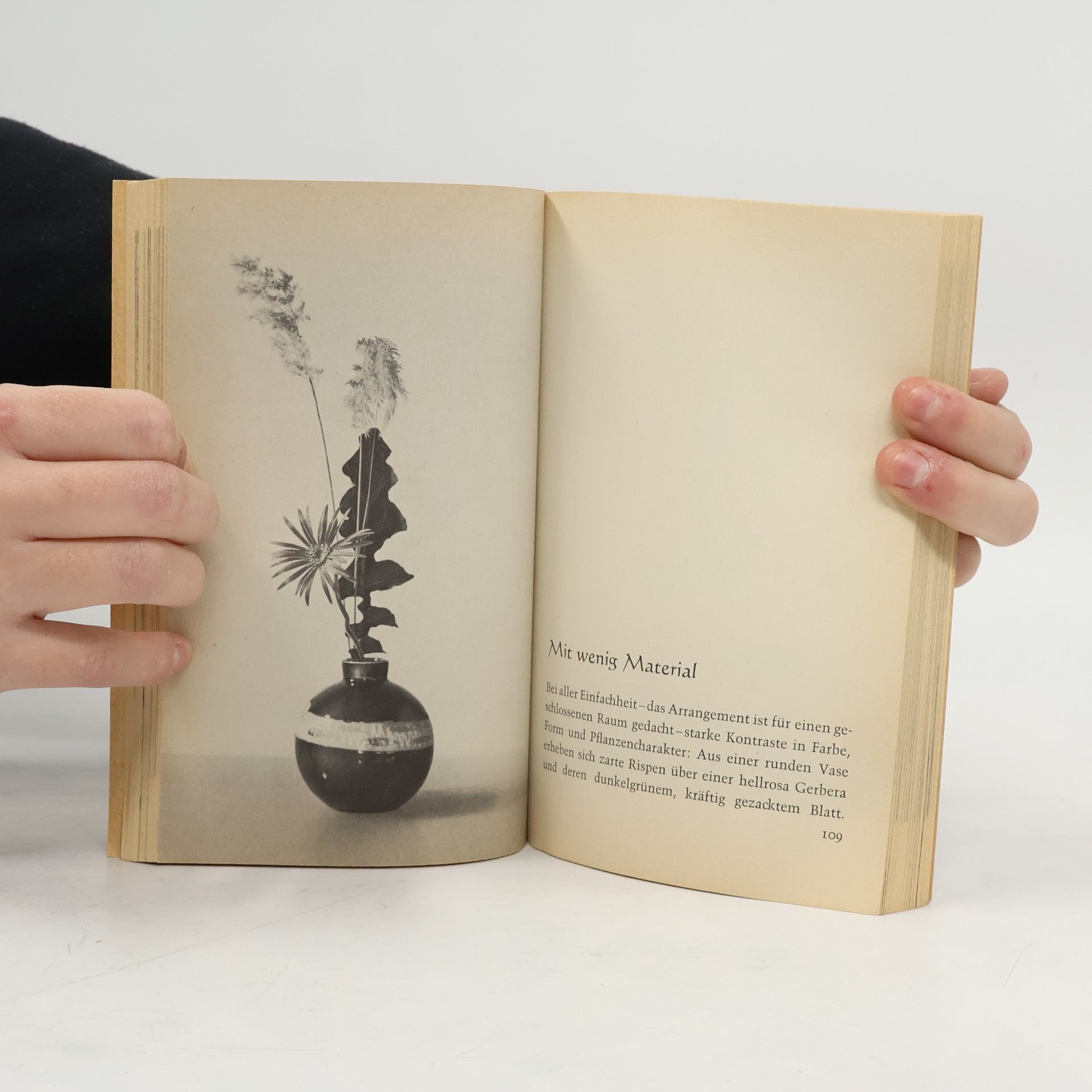 Tatsuo Ishimoto Japanische Blumenkunst