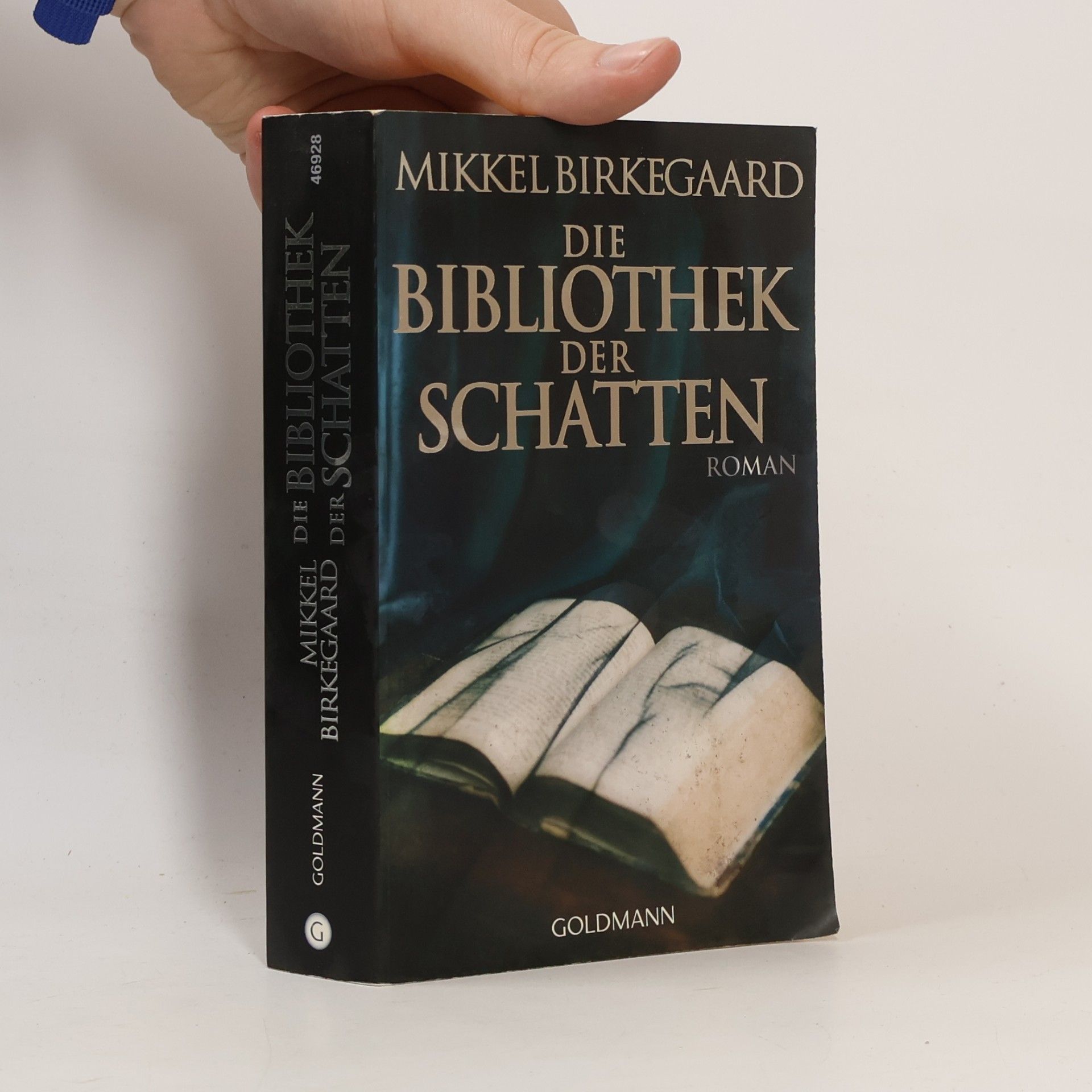 Mikkel Birkegaard Die Bibliothek der Schatten