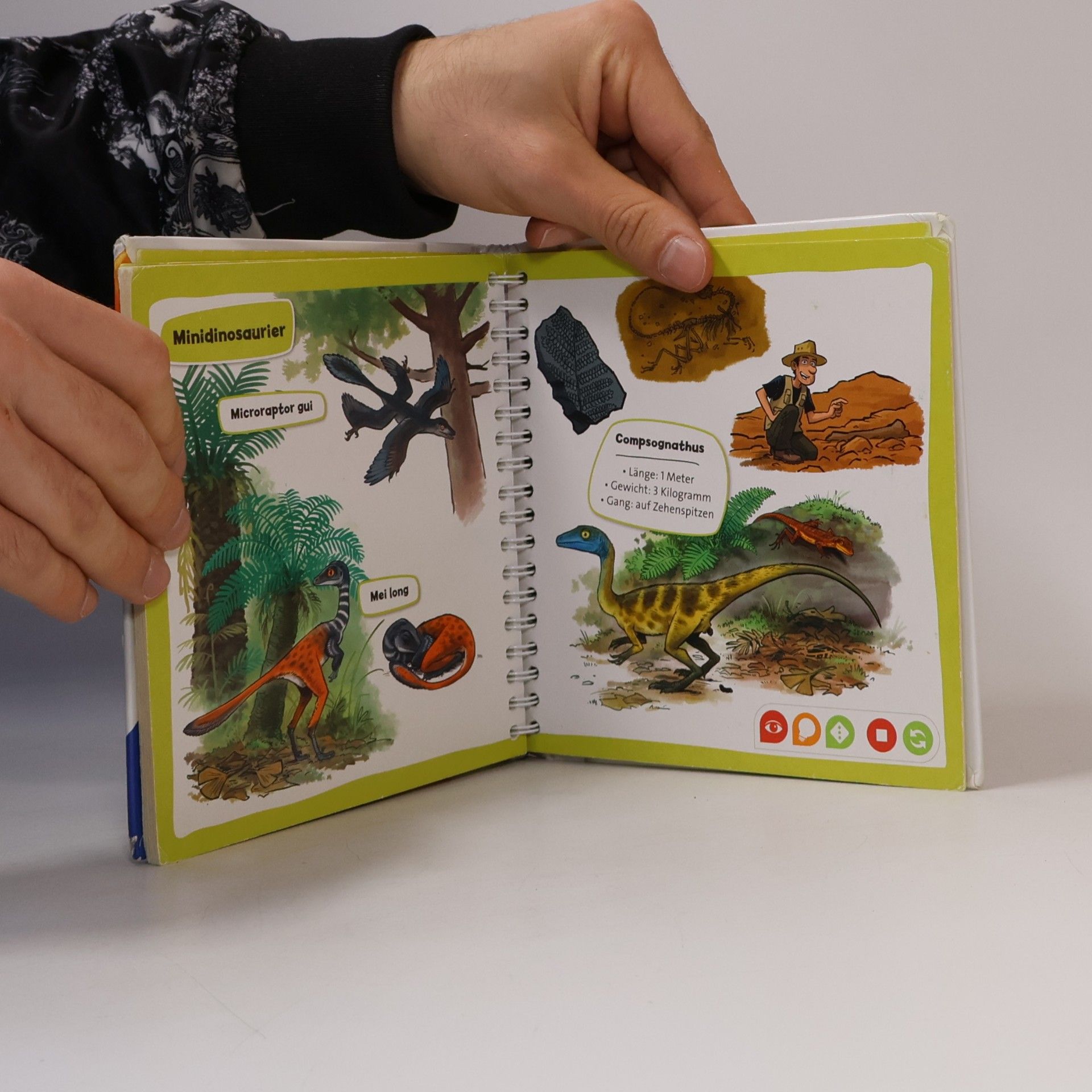 Autorenkollektiv Pocket Wissen. Dinosaurier