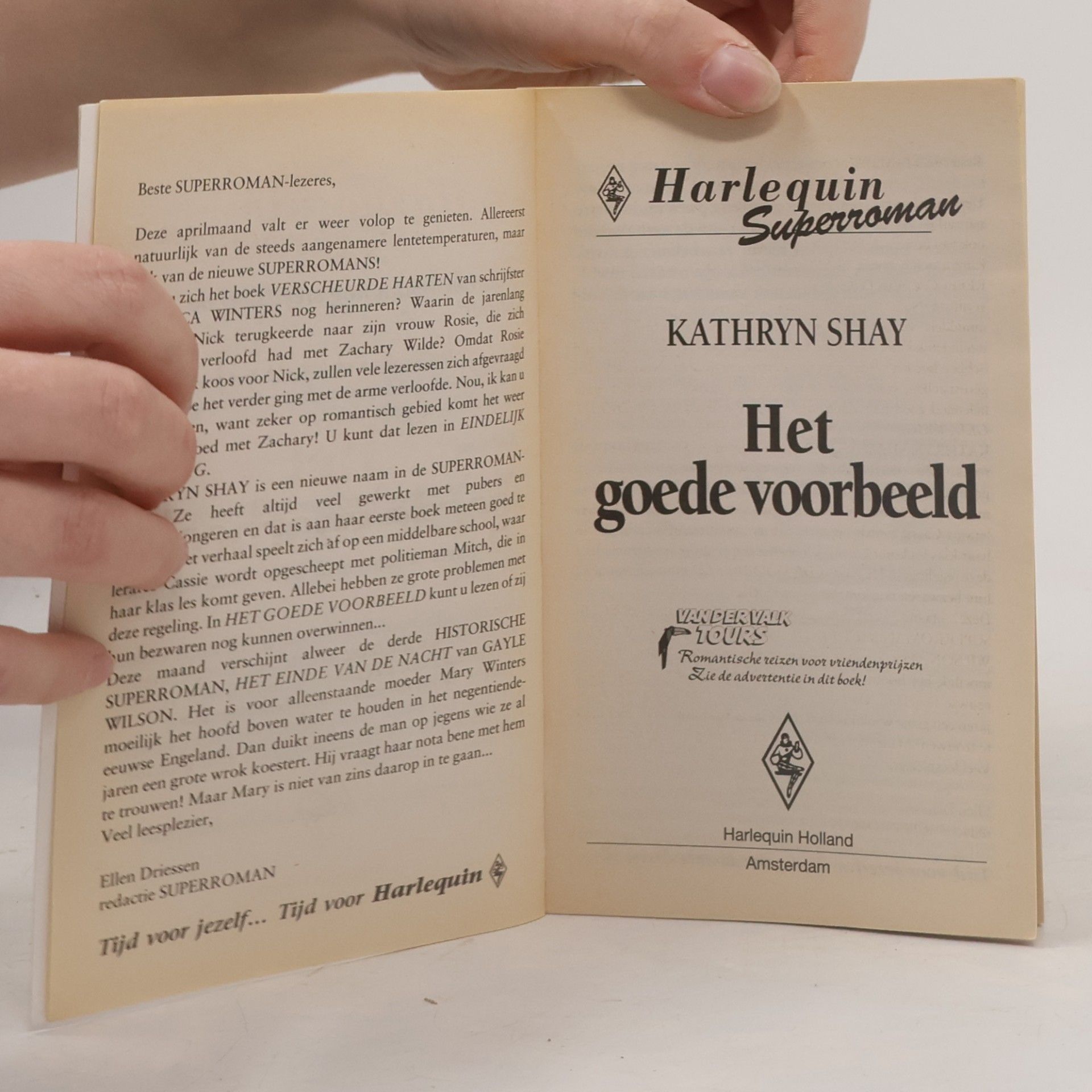 Kathryn Shay Het goede voorbeeld