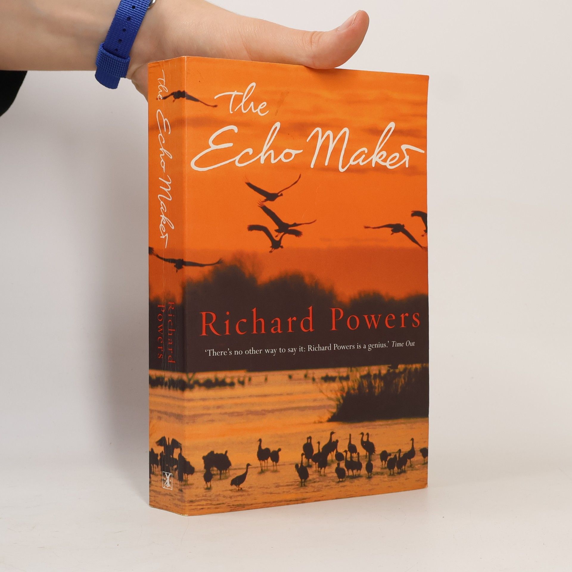 The Echo Maker