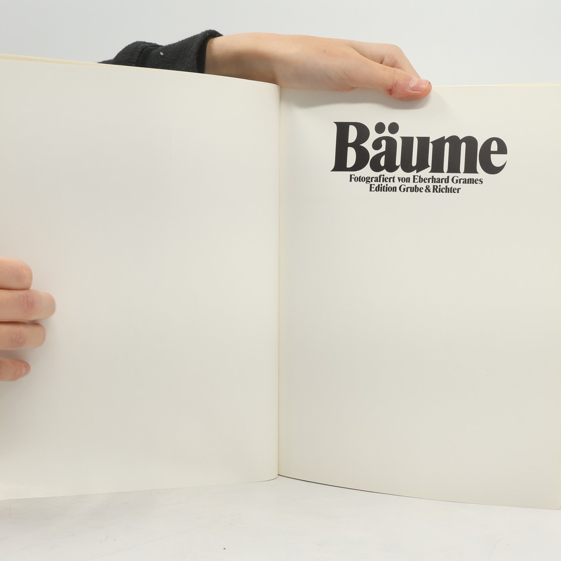 Eberhard Grames Bäume