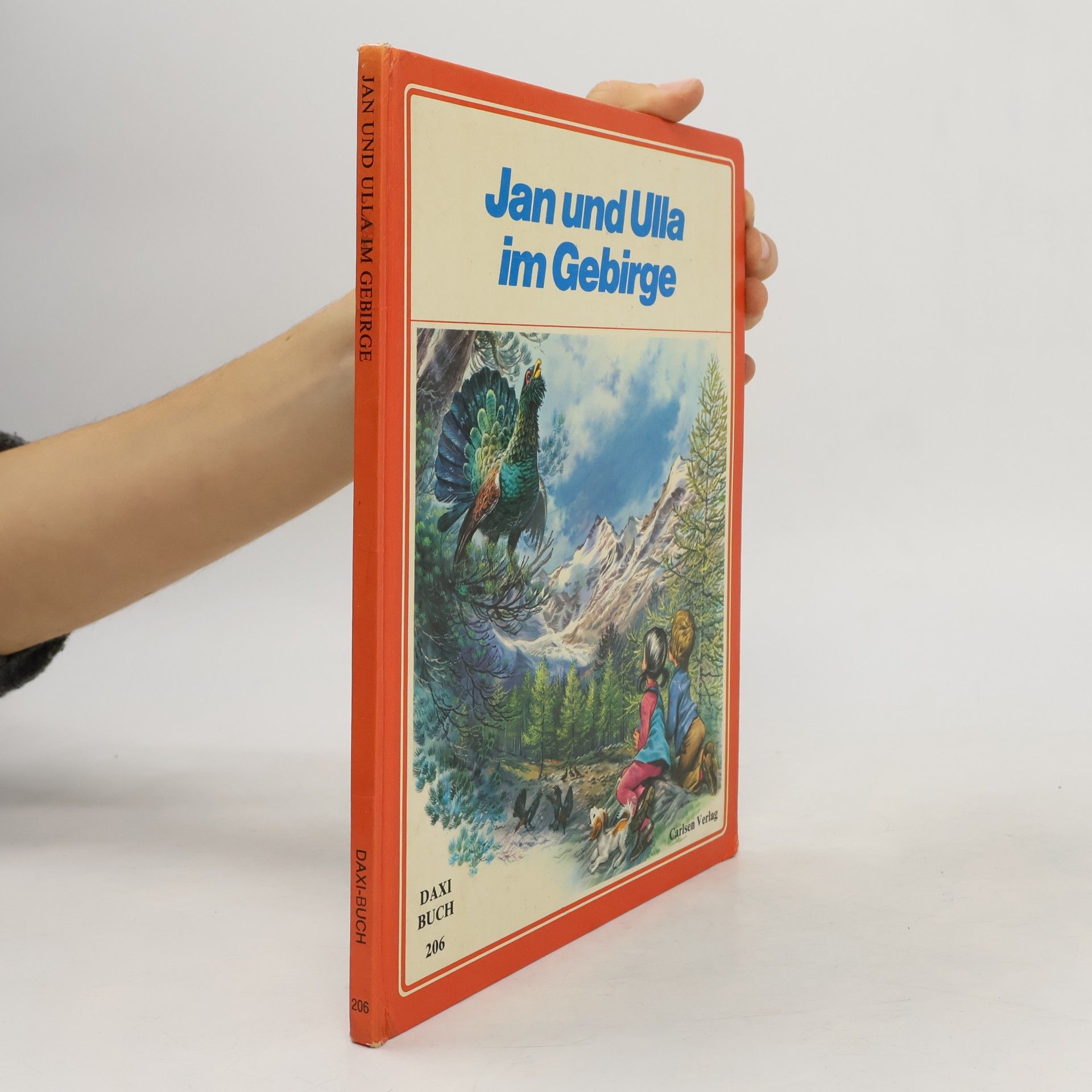 Daxi-Buch - 206: Jan und Ulla im Gebirge