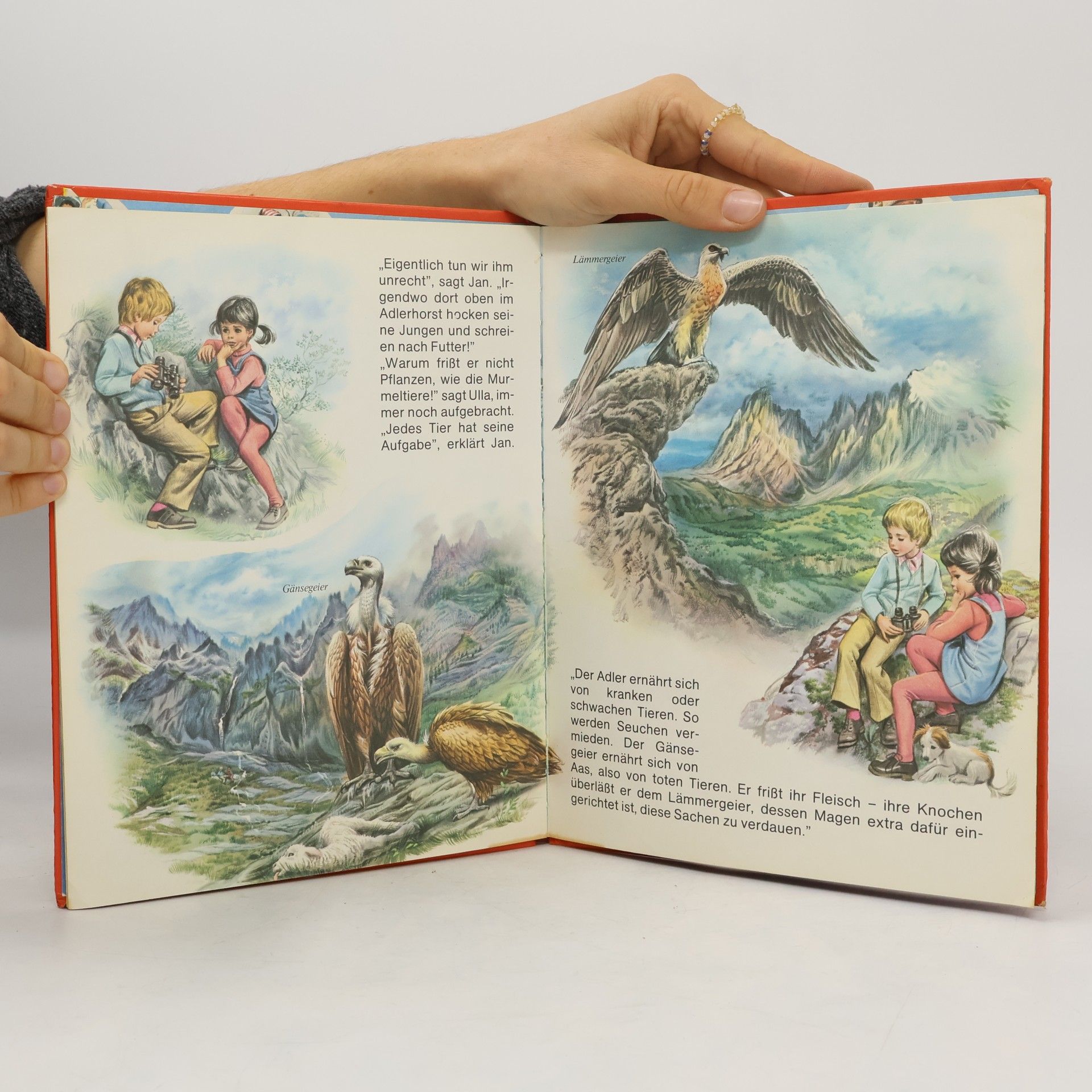 Marcel Marlier Daxi-Buch - 206: Jan und Ulla im Gebirge