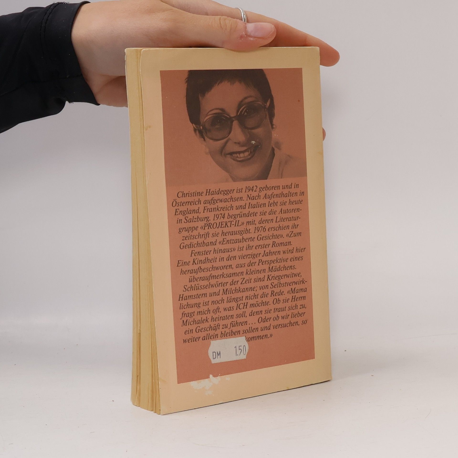 Christine Haidegger Zum Fenster hinaus