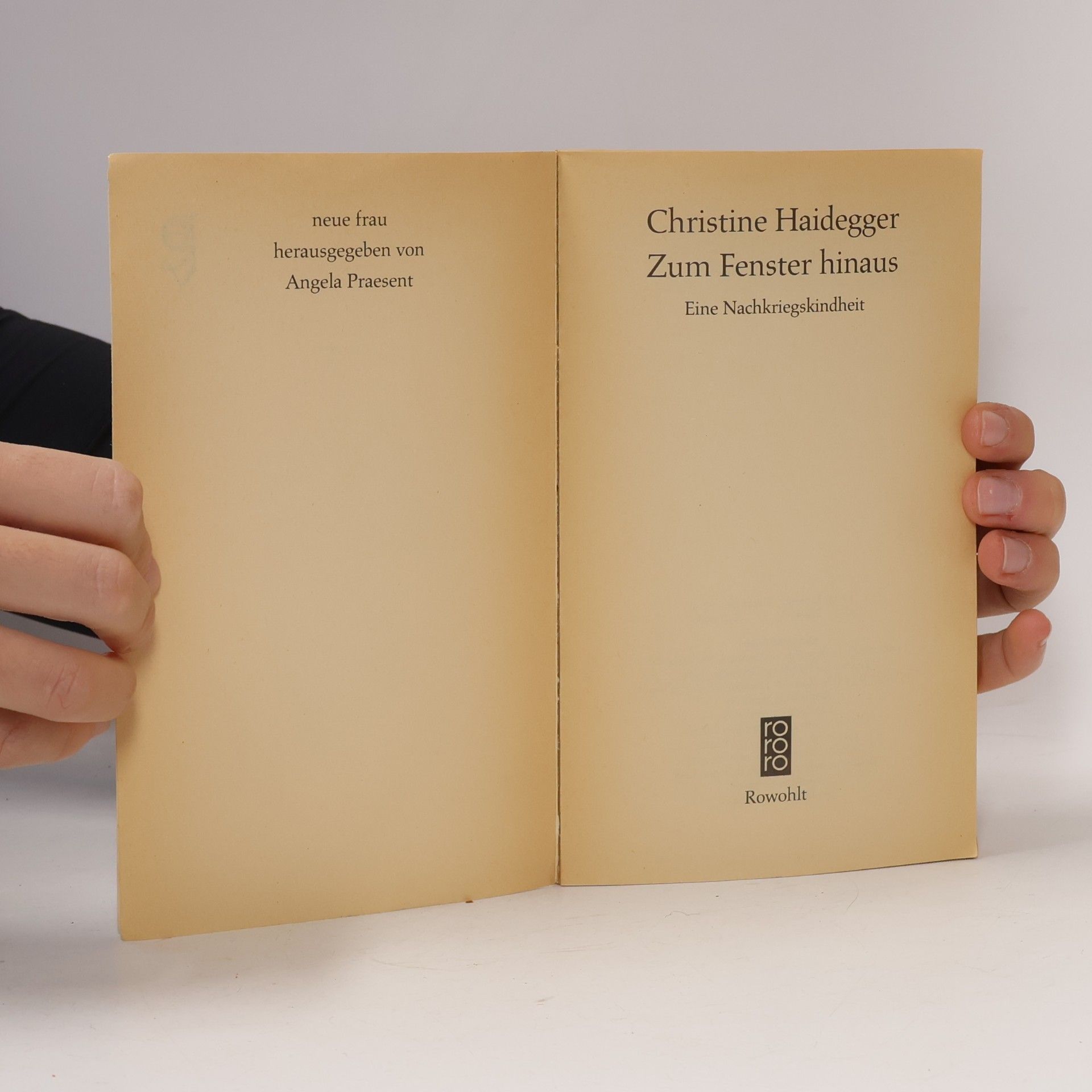 Christine Haidegger Zum Fenster hinaus