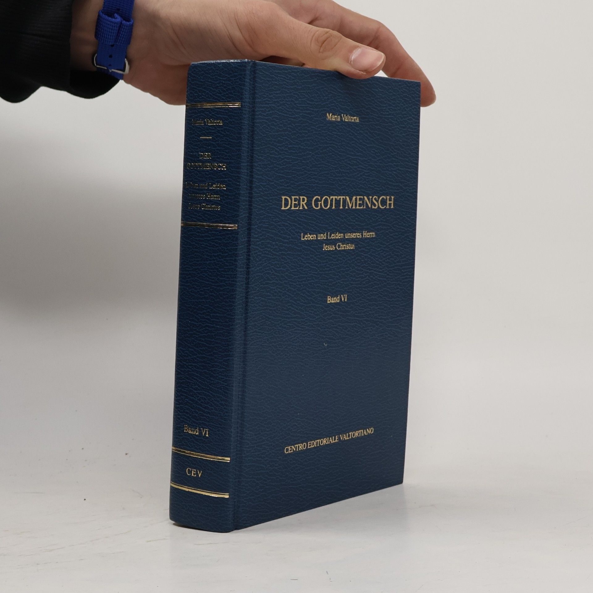 Der Gottmensch. Leben und Leiden unseres Herrn Jesus Christus. Band VI