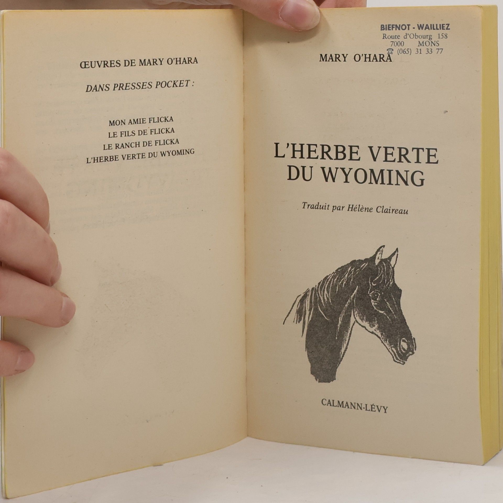 Hélène Claireau L'Herbe verte du Wyoming