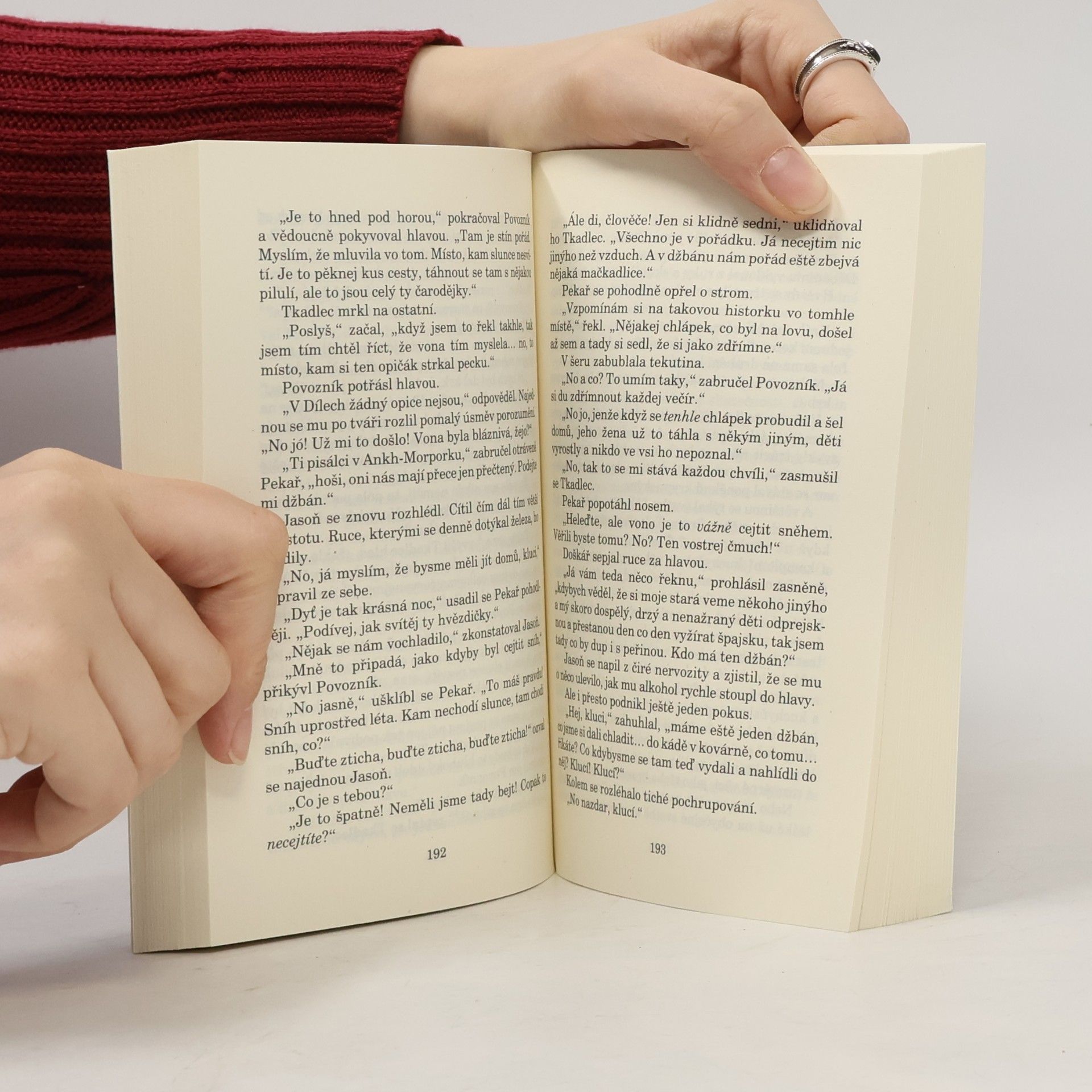 Terry Pratchett Dámy a pánové
