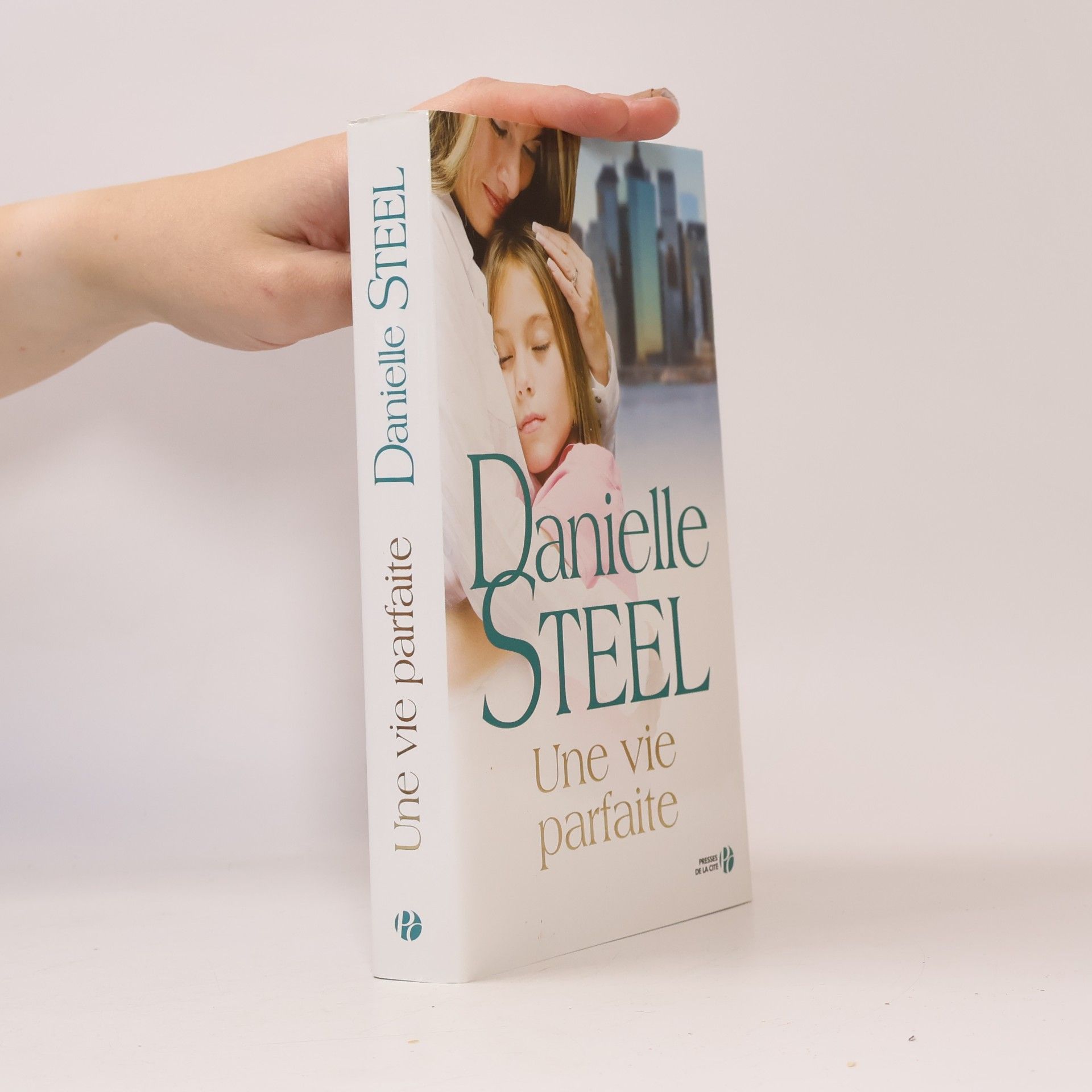 Danielle Steelová Une vie parfaite