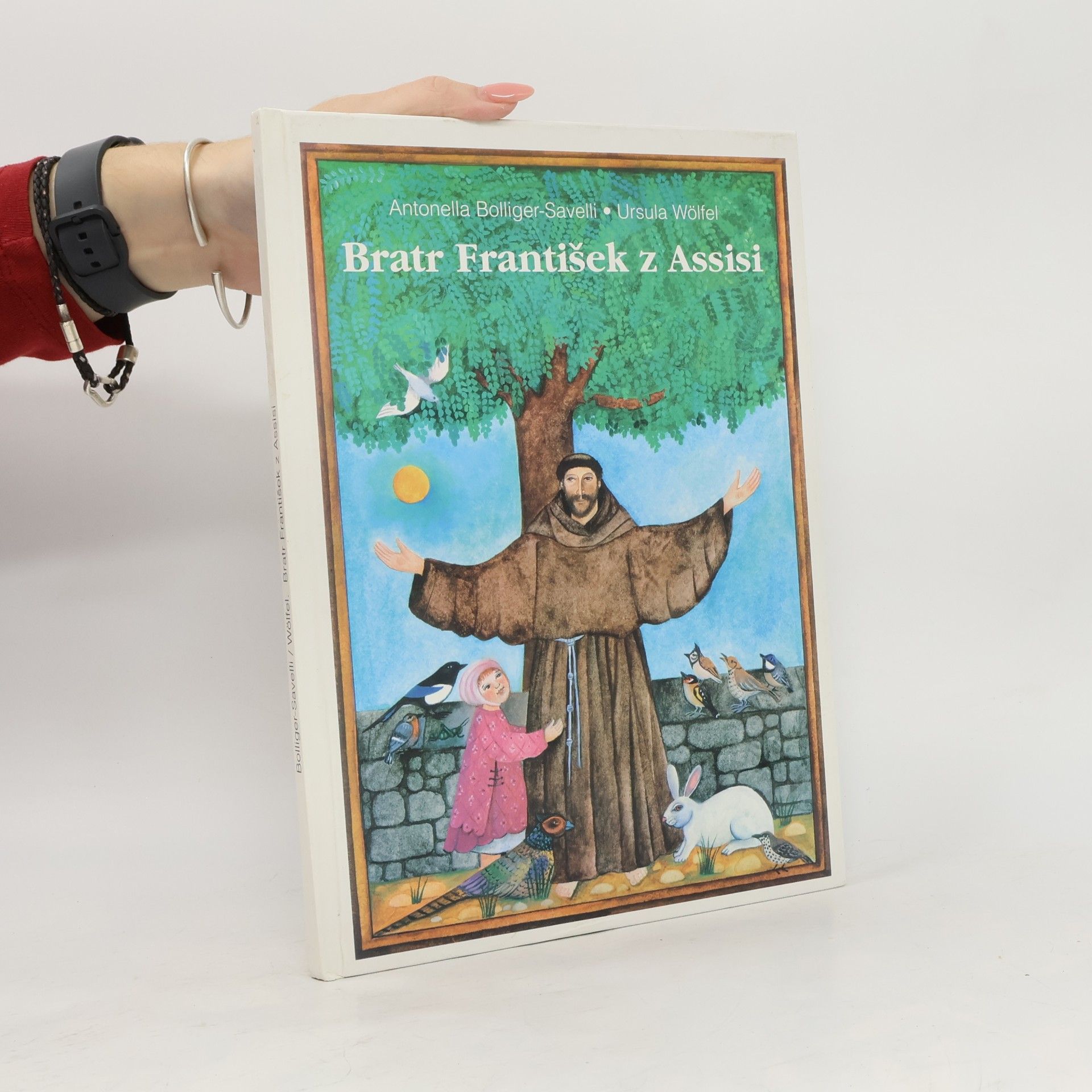 Bratr František z Assisi