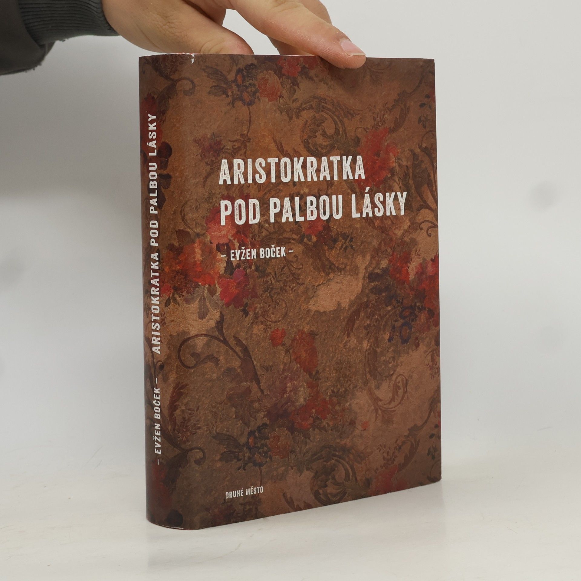 Aristokratka pod palbou lásky