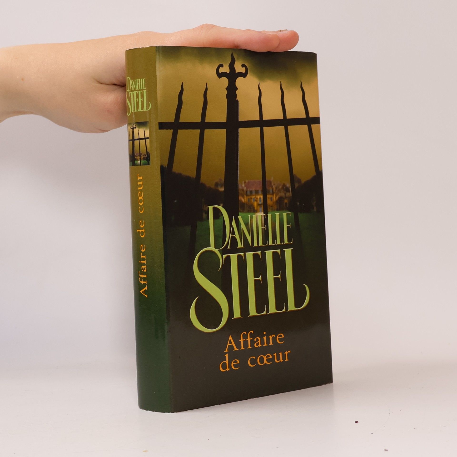 Danielle Steel Affaire de cœur