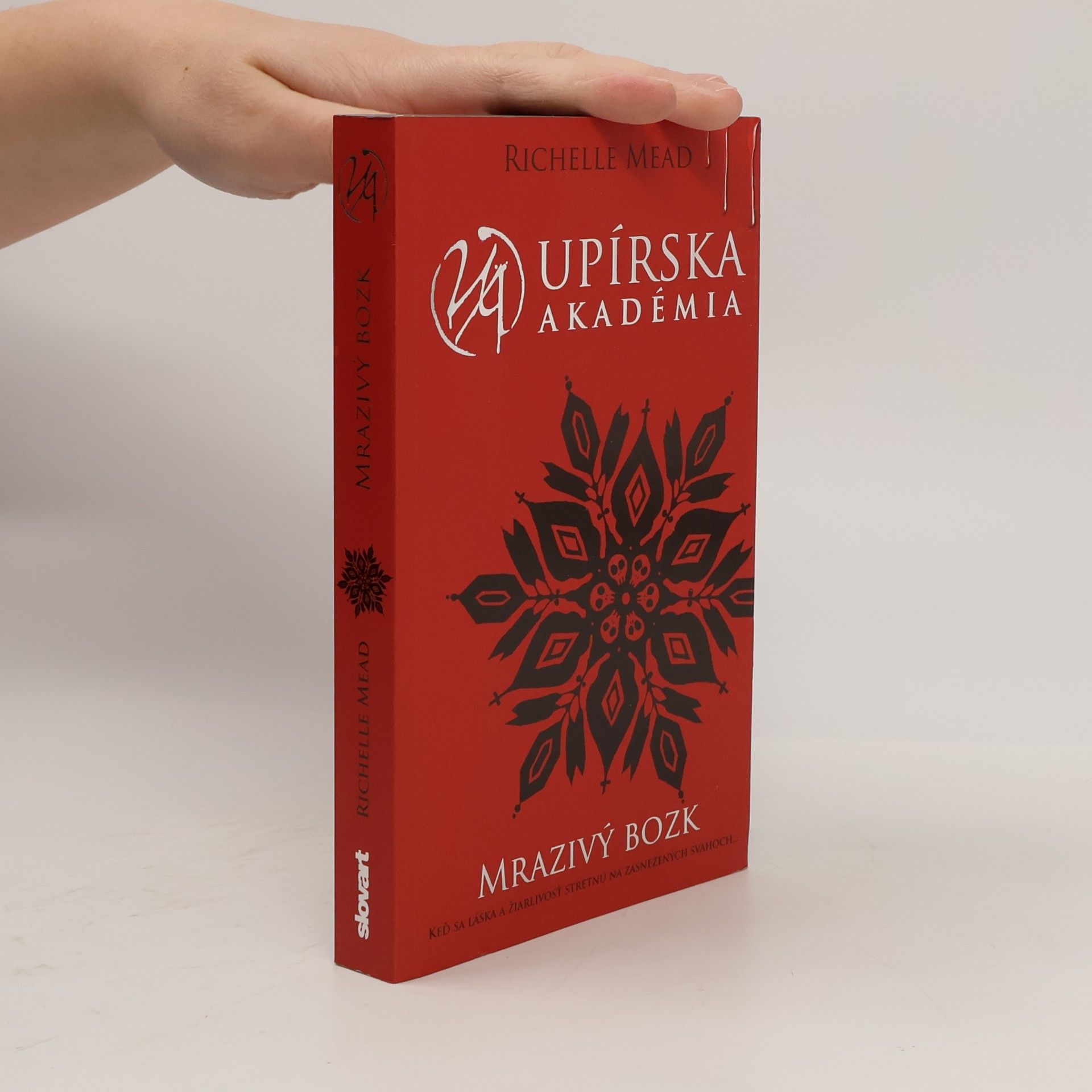 Richelle Mead Upírska akadémia. Mrazivý bozk