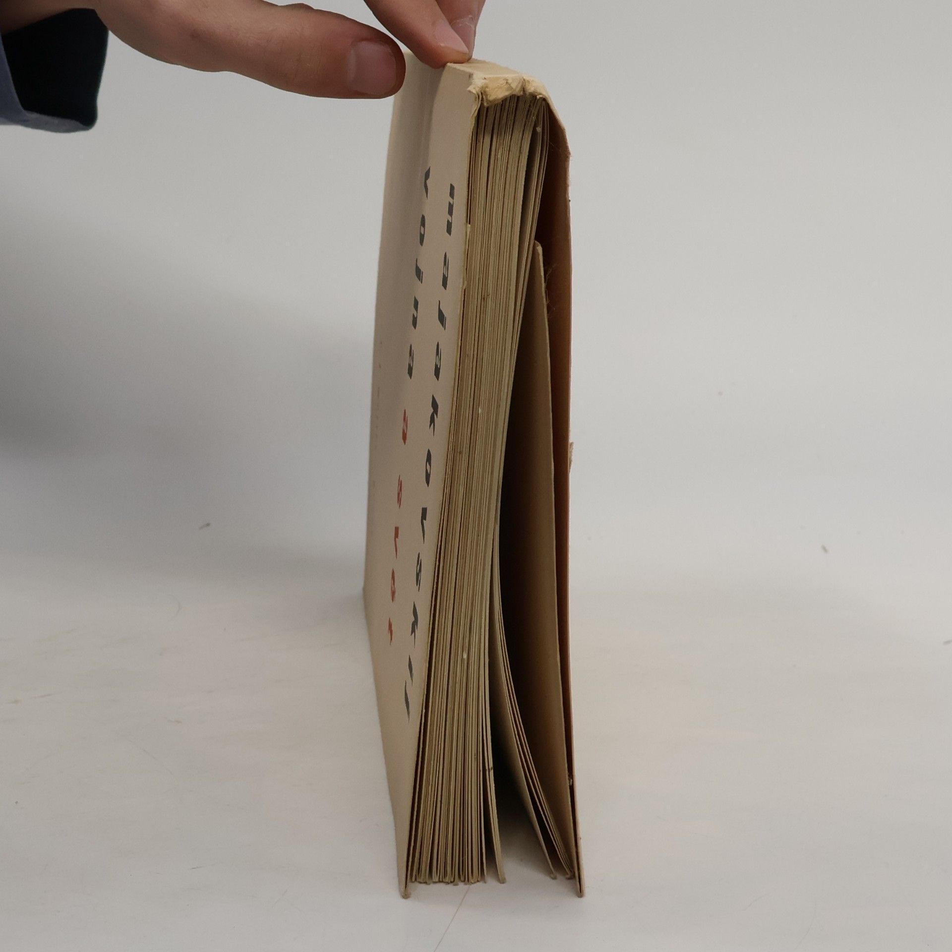 Vladimir Majakovskij Vojna a svět