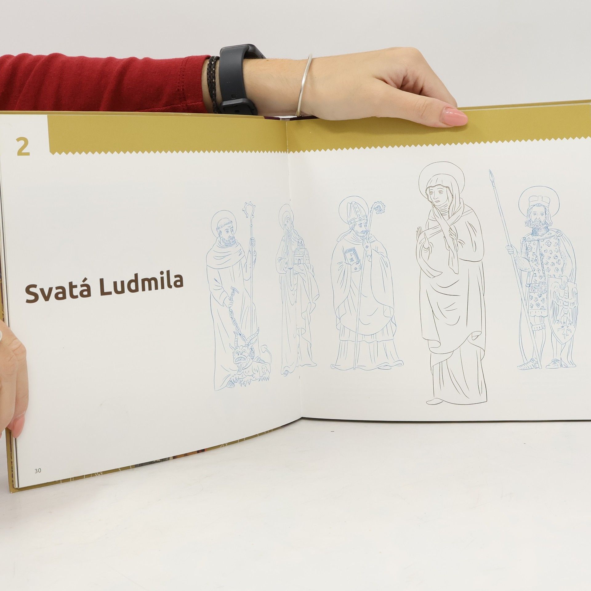 Milan Starý Můj stát : putování za českými patrony