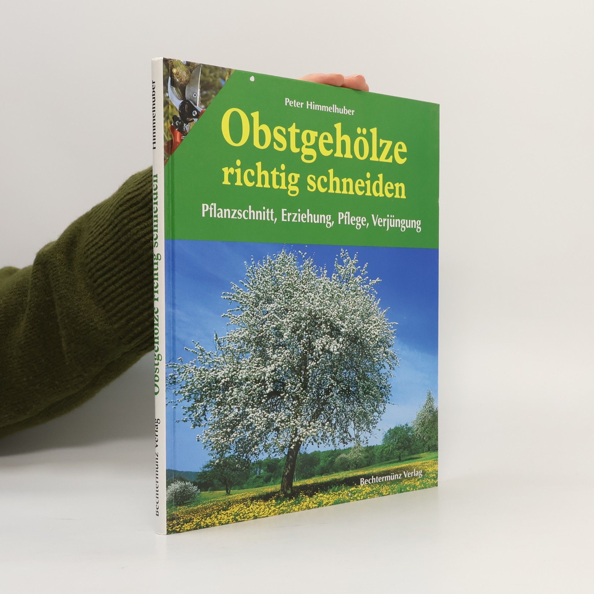 Obstgehölze richtig schneiden