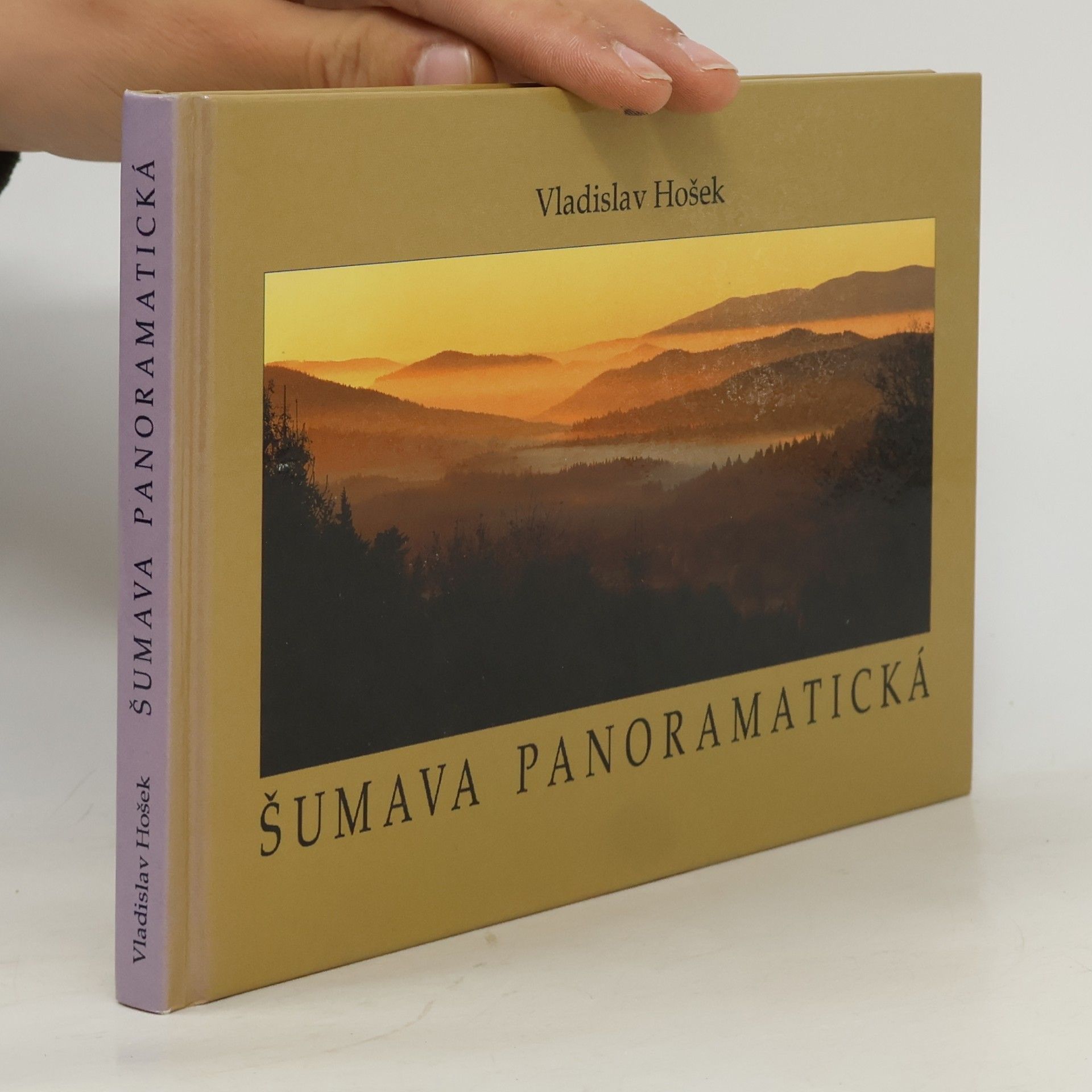 Šumava panoramatická