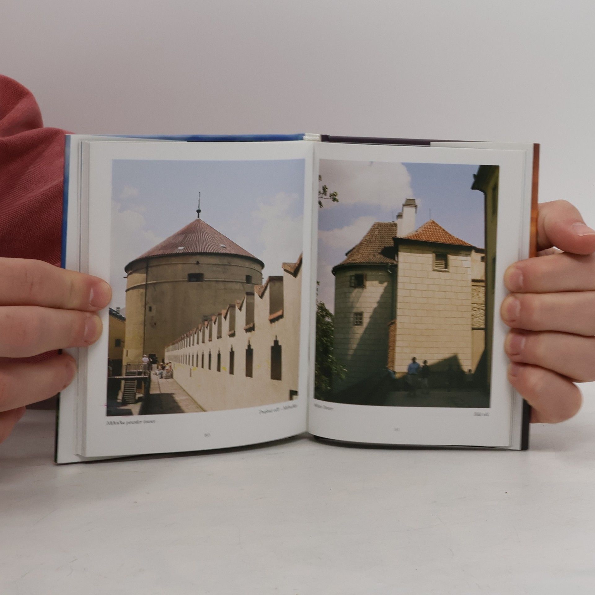 Luděk Sládek Pražský hrad, dynastie za dynastií