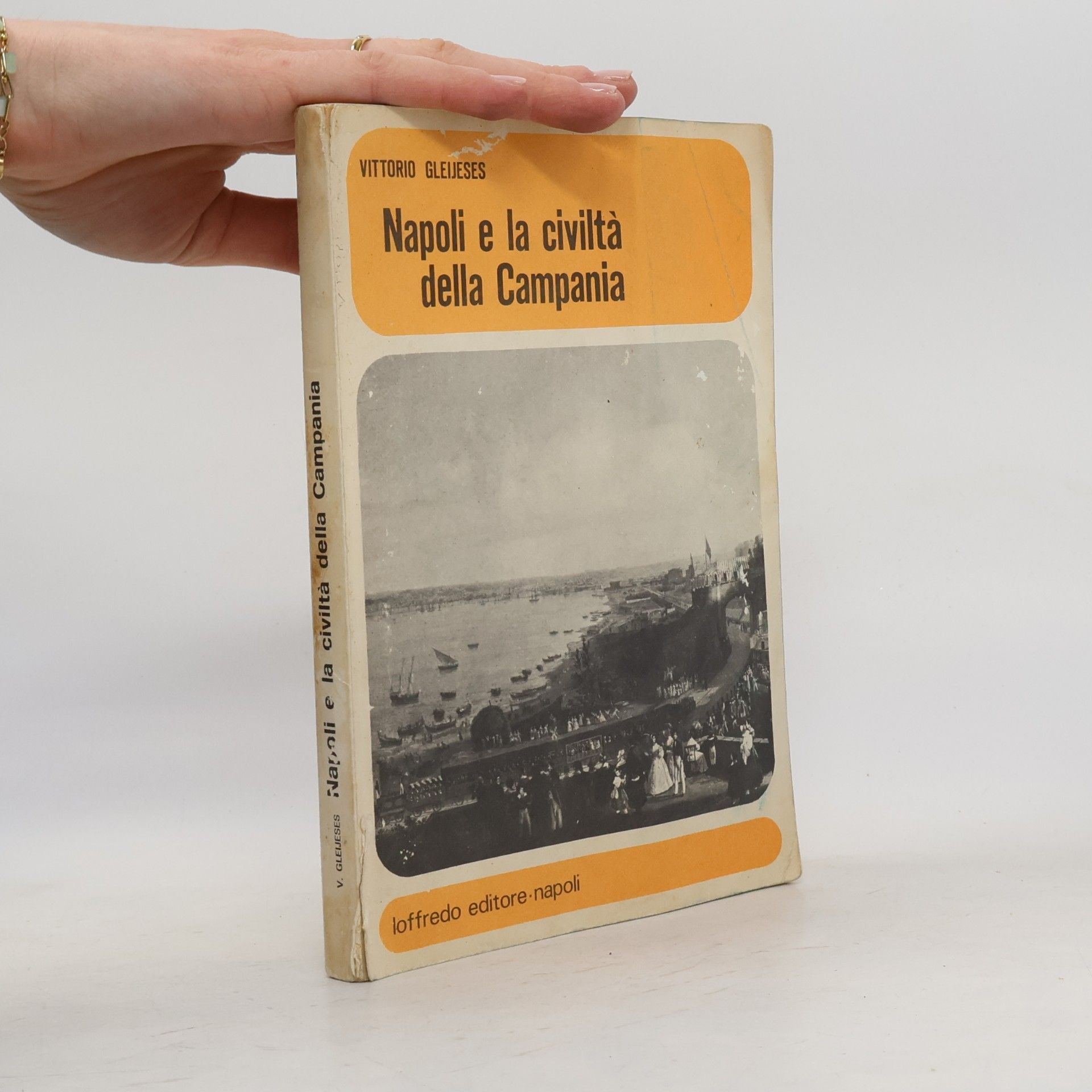 Napoli e la civiltà della Campania