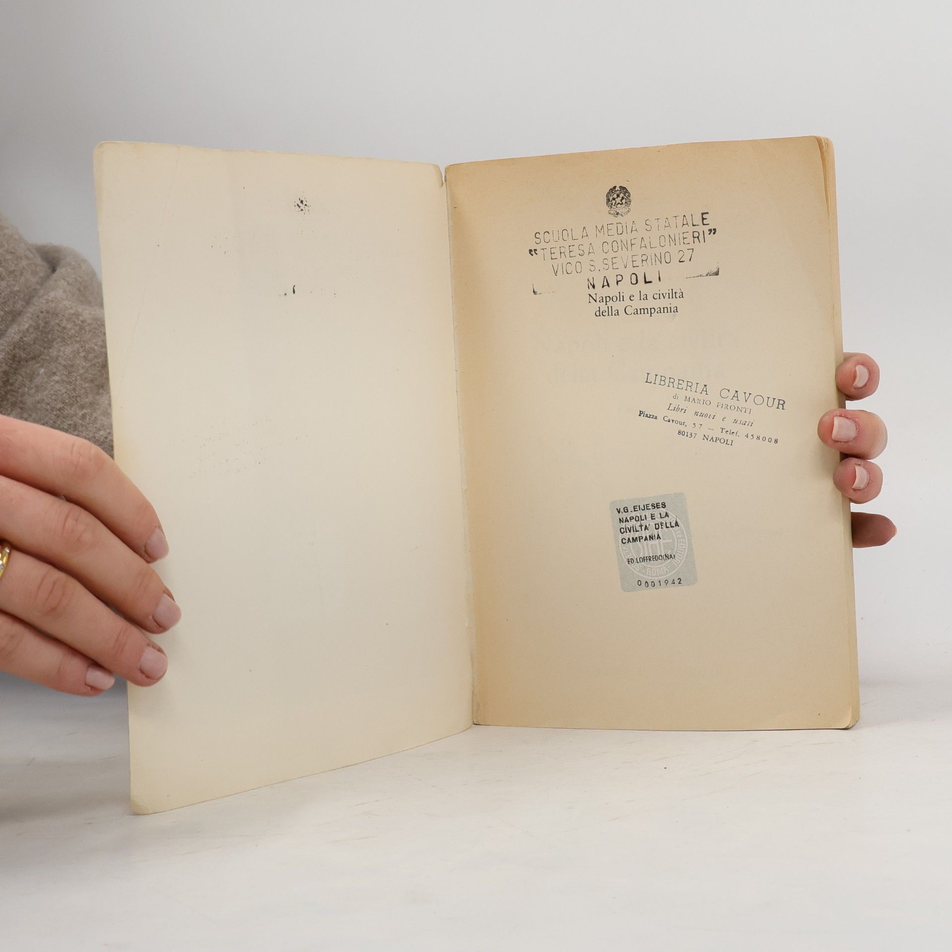 Vittorio Gleijeses Napoli e la civiltà della Campania