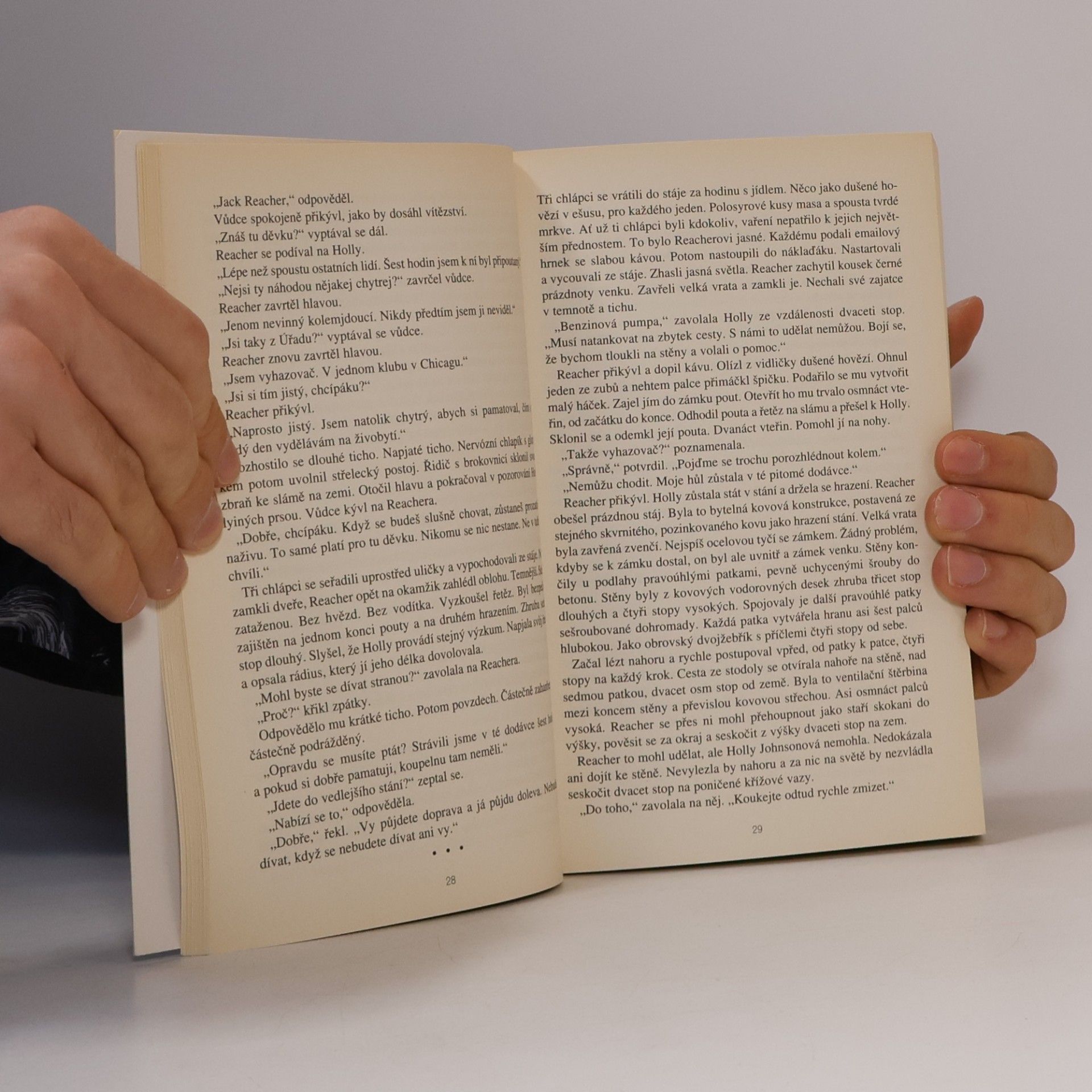 Lee Child A přece nezemřeš